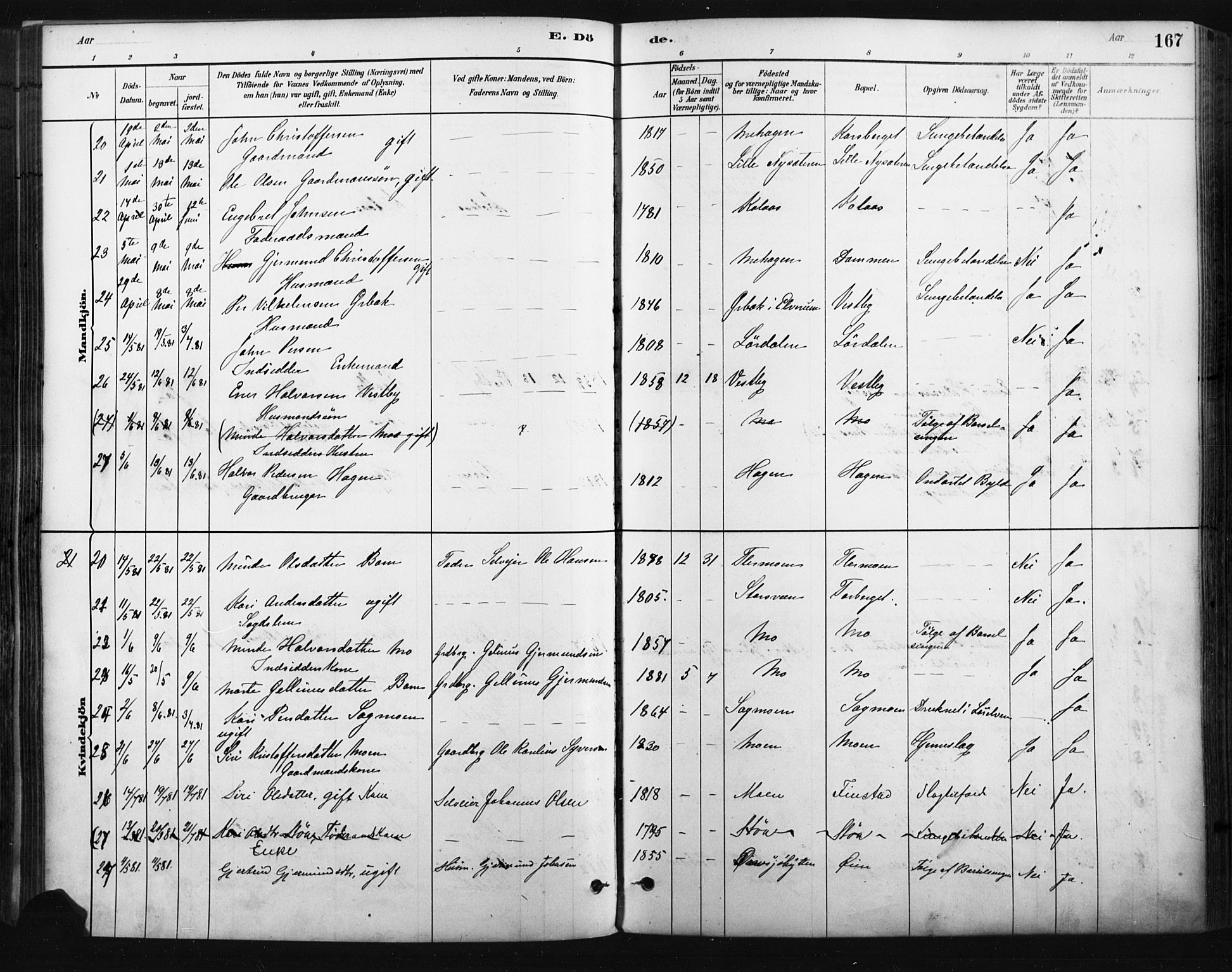 Trysil prestekontor, AV/SAH-PREST-046/H/Ha/Haa/L0009: Ministerialbok nr. 9, 1881-1897, s. 167