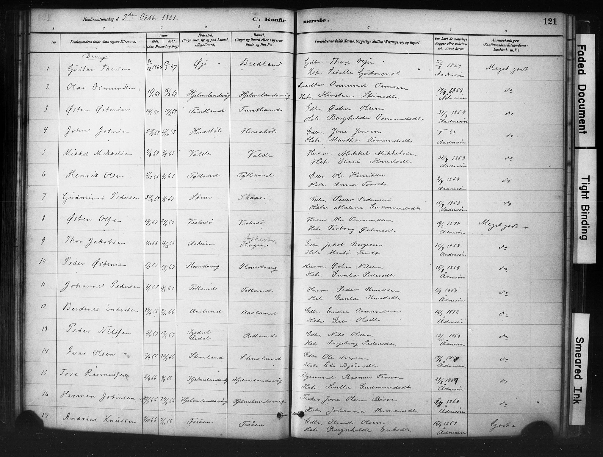 Hjelmeland sokneprestkontor, AV/SAST-A-101843/01/IV/L0014: Ministerialbok nr. A 14, 1879-1900, s. 121