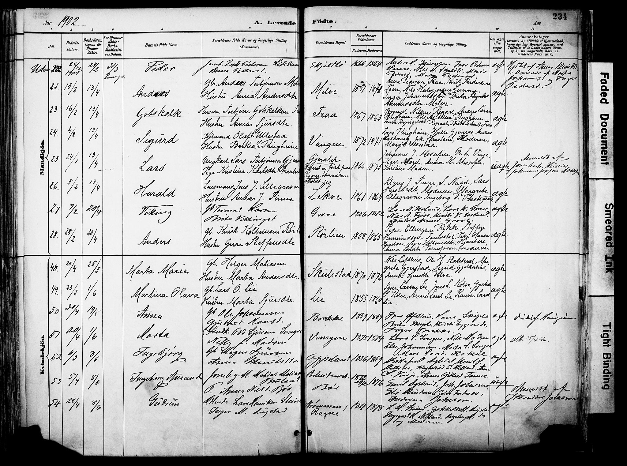 Voss sokneprestembete, AV/SAB-A-79001/H/Haa: Ministerialbok nr. A 21, 1887-1903, s. 234