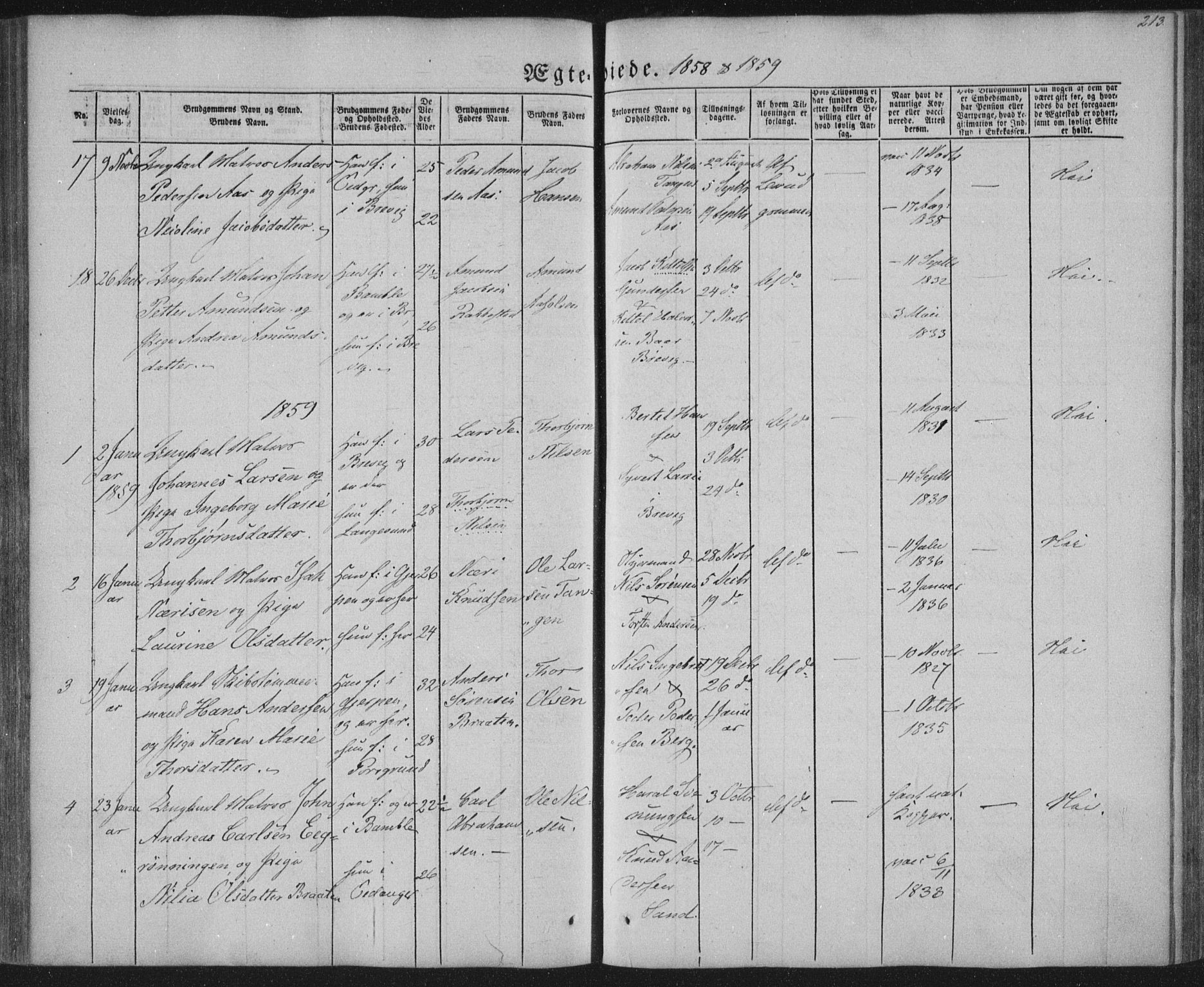 Brevik kirkebøker, AV/SAKO-A-255/F/Fa/L0005: Ministerialbok nr. 5, 1847-1865, s. 213