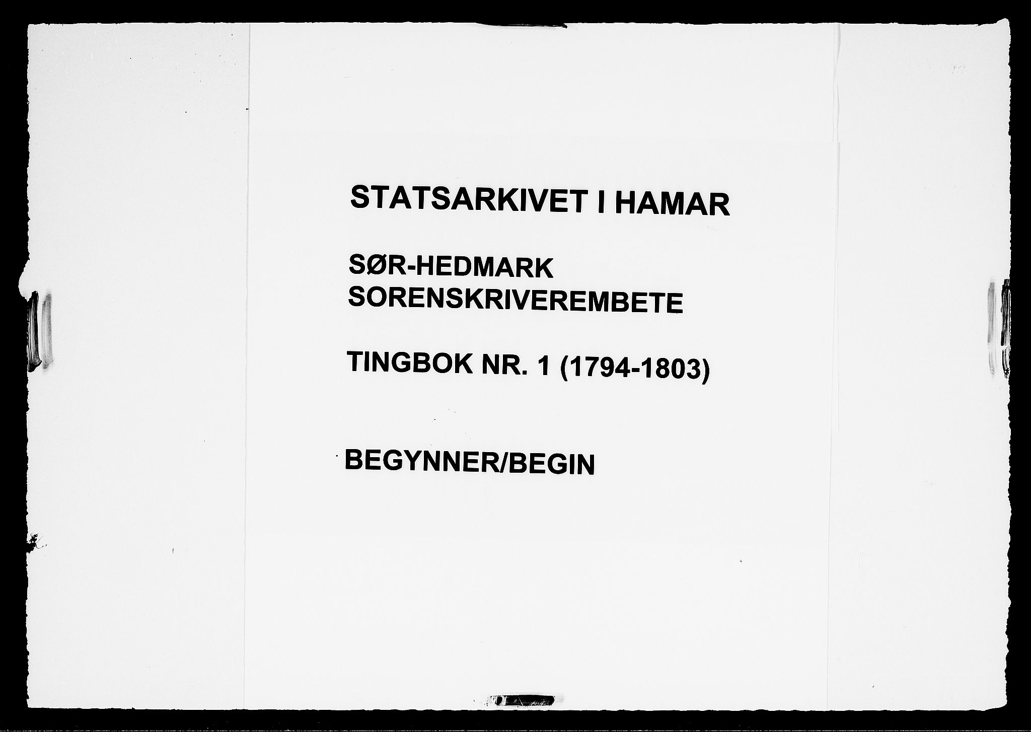 Sør-Hedmark sorenskriveri, SAH/TING-014/G/Gb/Gba/L0001: Tingbok, 1794-1803