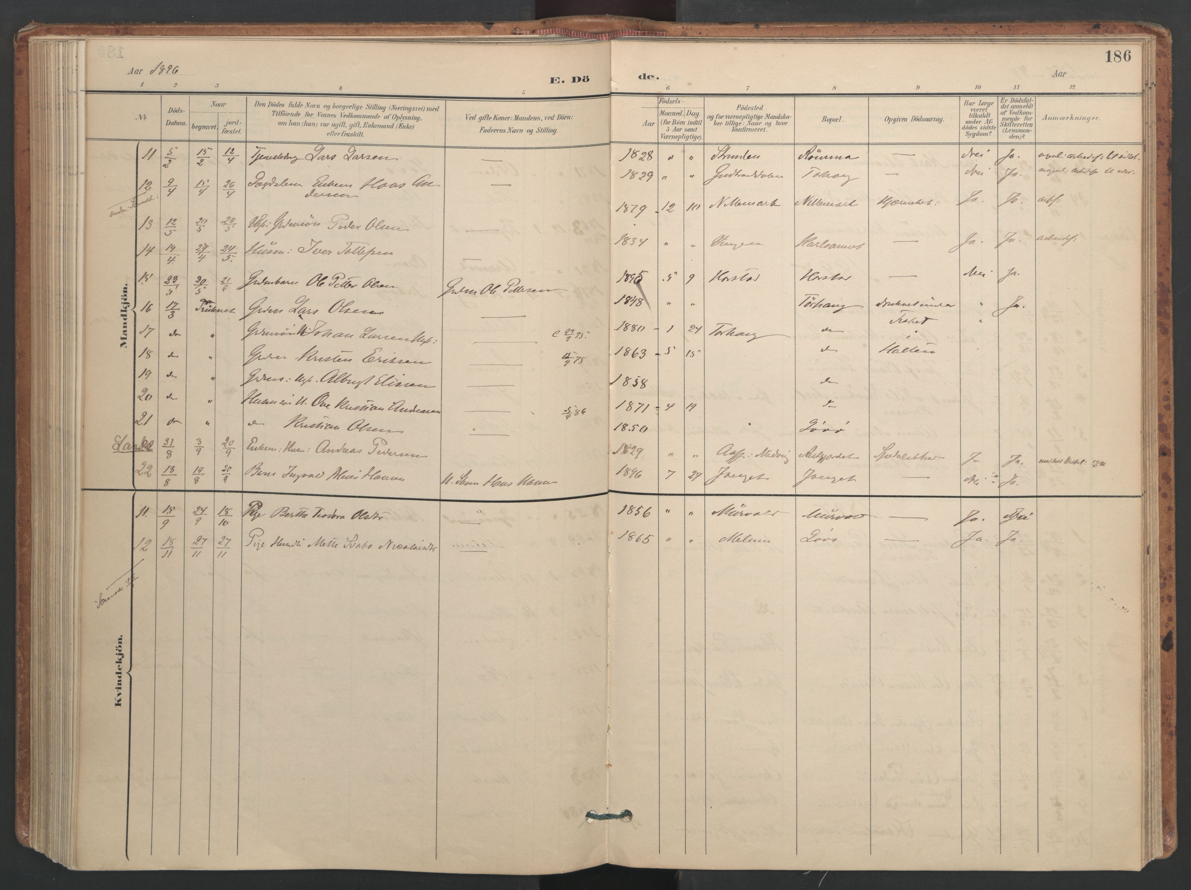Ministerialprotokoller, klokkerbøker og fødselsregistre - Sør-Trøndelag, SAT/A-1456/655/L0681: Ministerialbok nr. 655A10, 1895-1907, s. 186