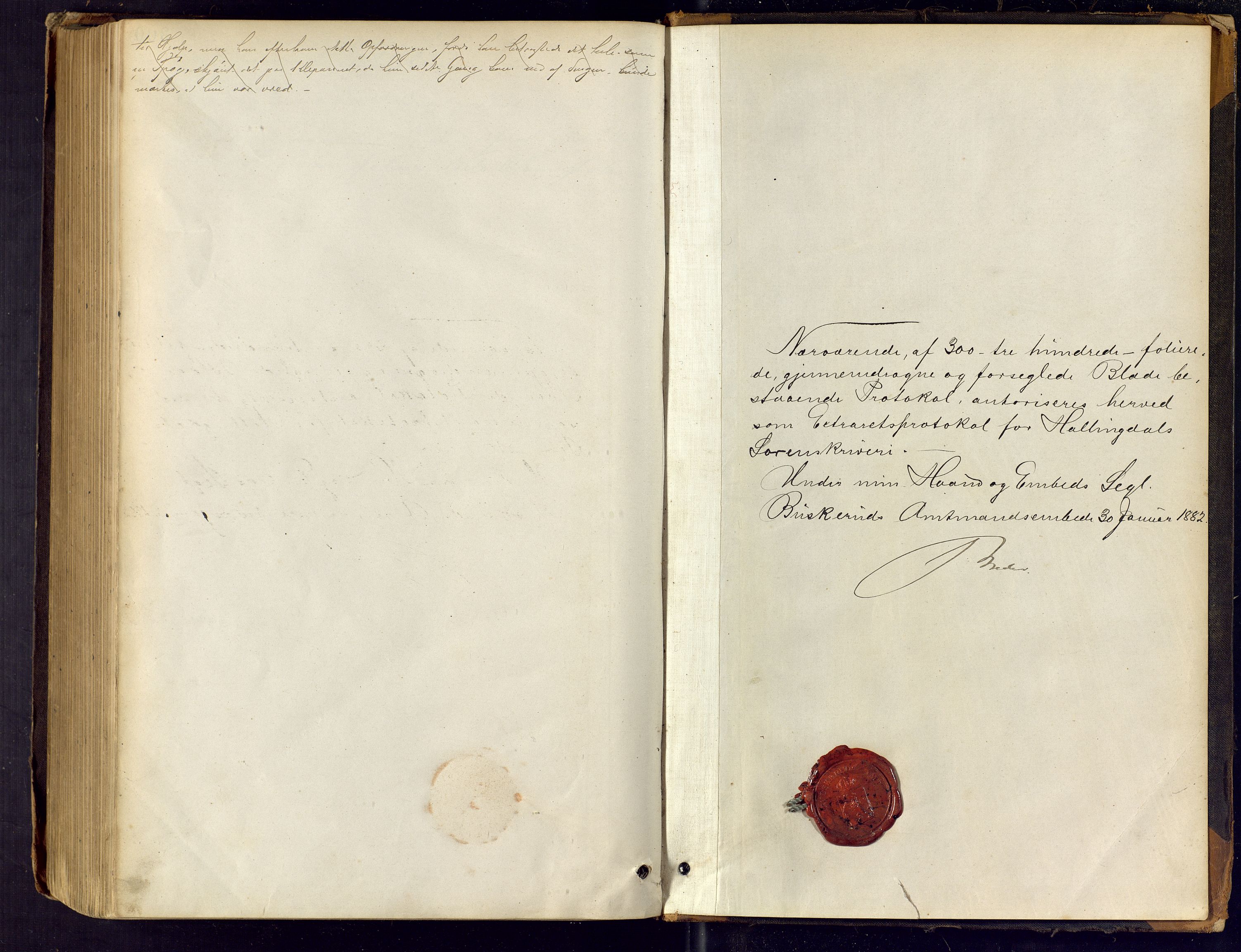 Hallingdal sorenskriveri, SAKO/A-121/F/Fc/L0021: Ekstrarettsprotokoll, 1882-1887