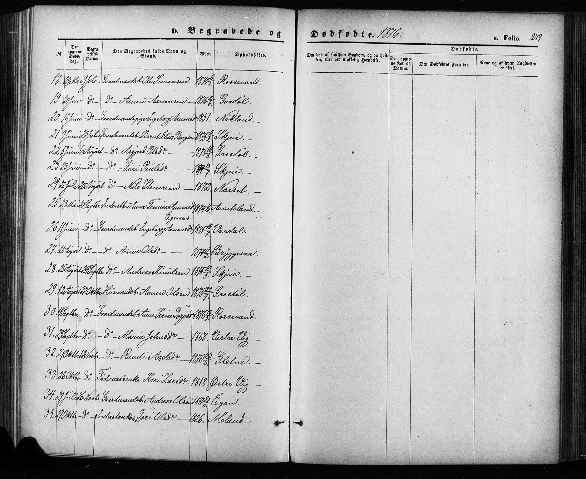 Hægebostad sokneprestkontor, SAK/1111-0024/F/Fa/Fab/L0003: Ministerialbok nr. A 3, 1872-1886, s. 249