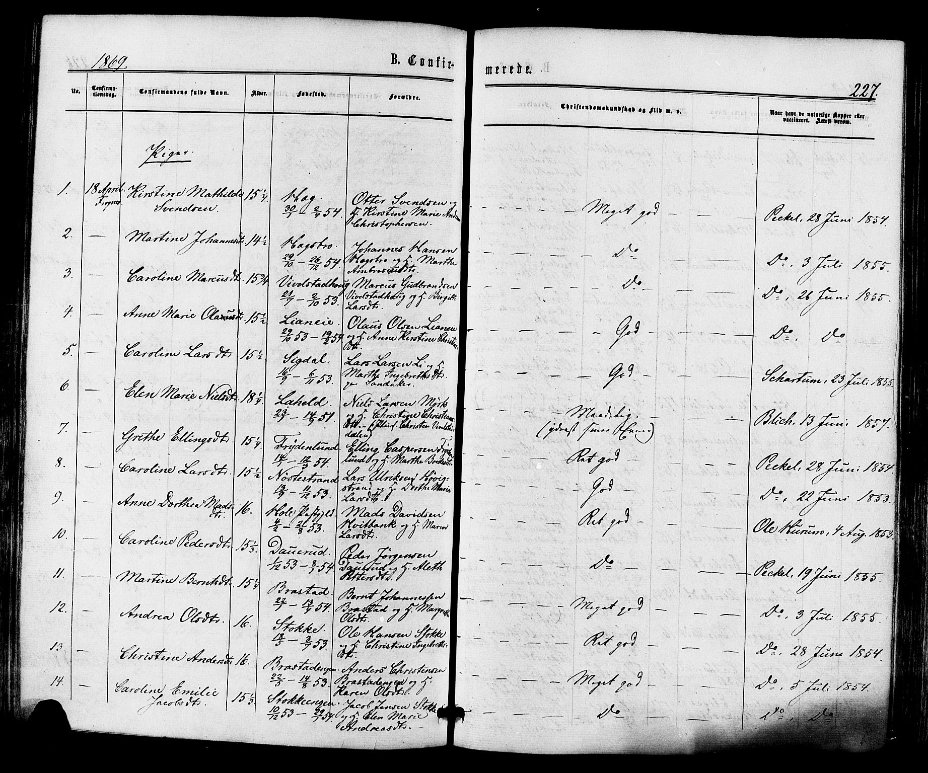 Lier kirkebøker, AV/SAKO-A-230/F/Fa/L0013: Ministerialbok nr. I 13, 1865-1874, s. 227