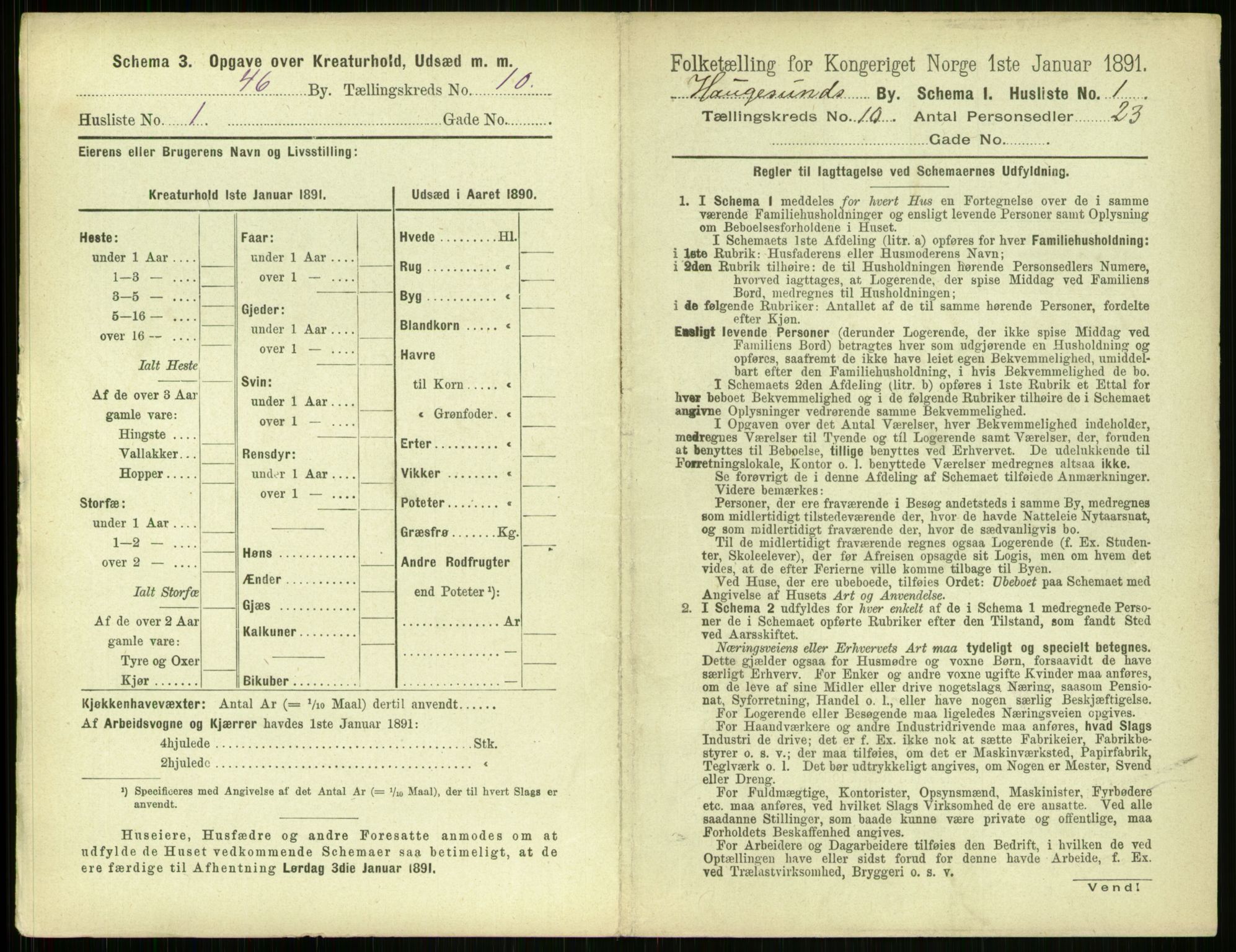 RA, Folketelling 1891 for 1106 Haugesund kjøpstad, 1891, s. 683