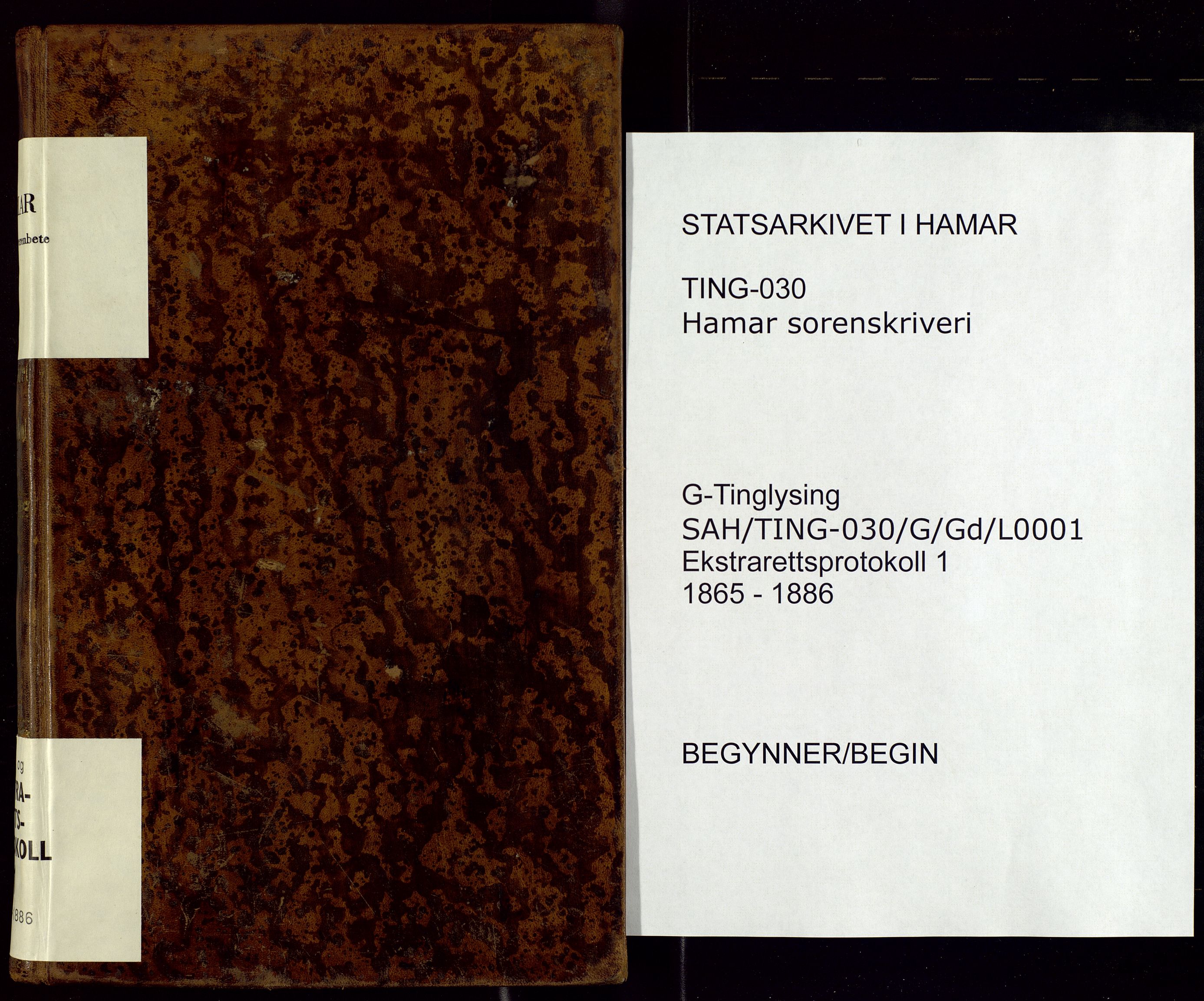Hamar sorenskriveri, SAH/TING-030/G/Gd/L0001: Åsteds- og ekstrarettsprotokoll, 1865-1886