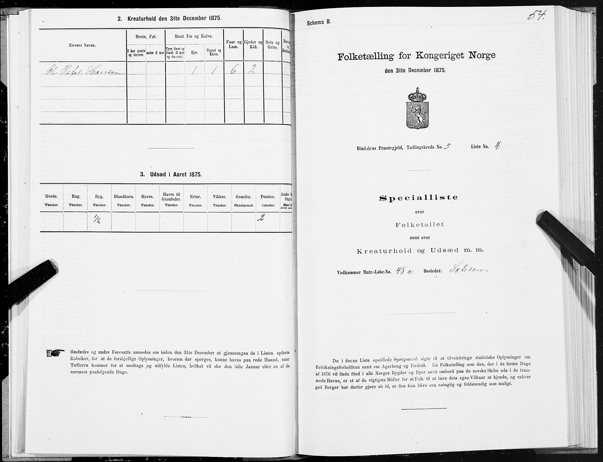 SAT, Folketelling 1875 for 1811P Bindal prestegjeld, 1875, s. 2054