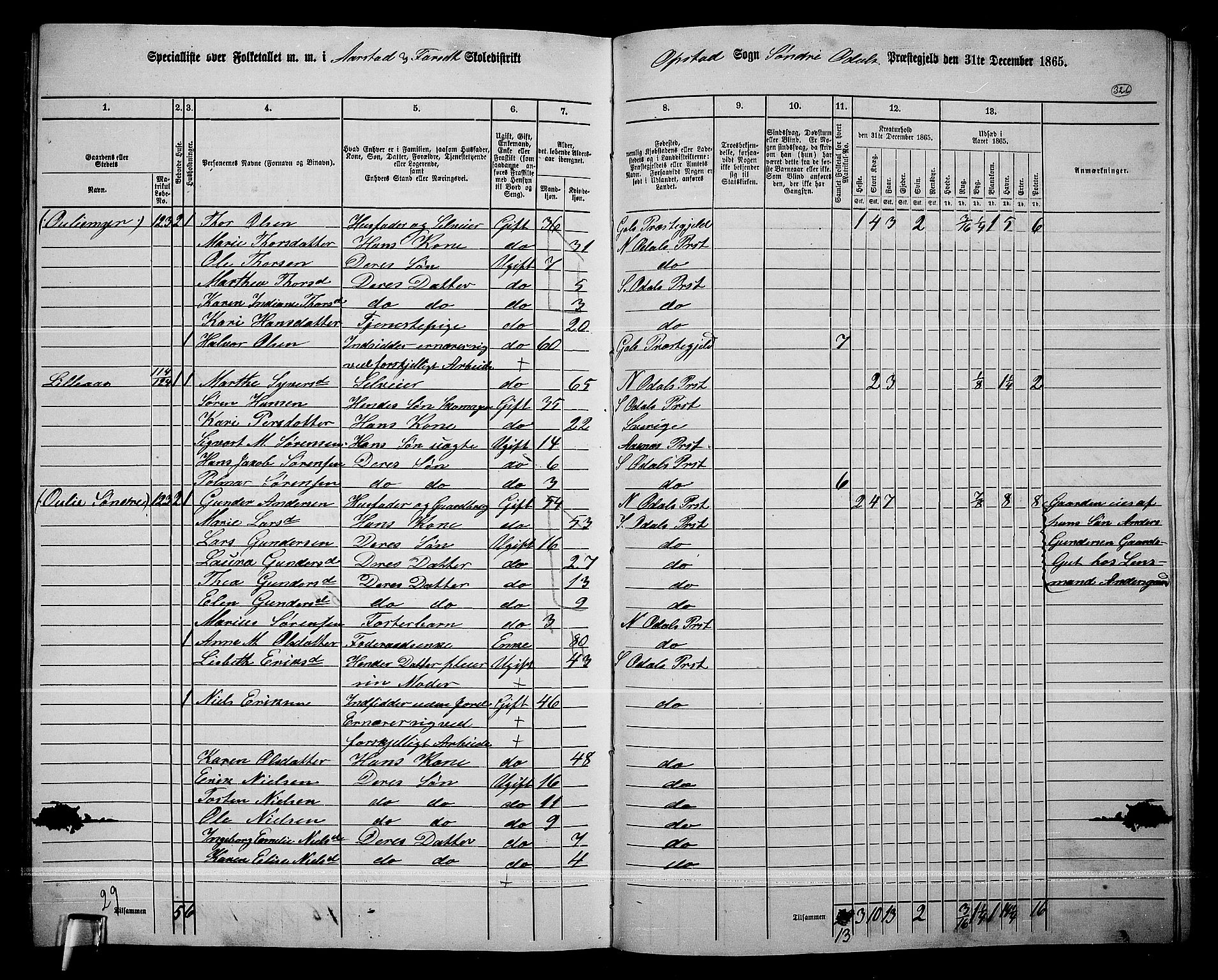 RA, Folketelling 1865 for 0419P Sør-Odal prestegjeld, 1865, s. 285