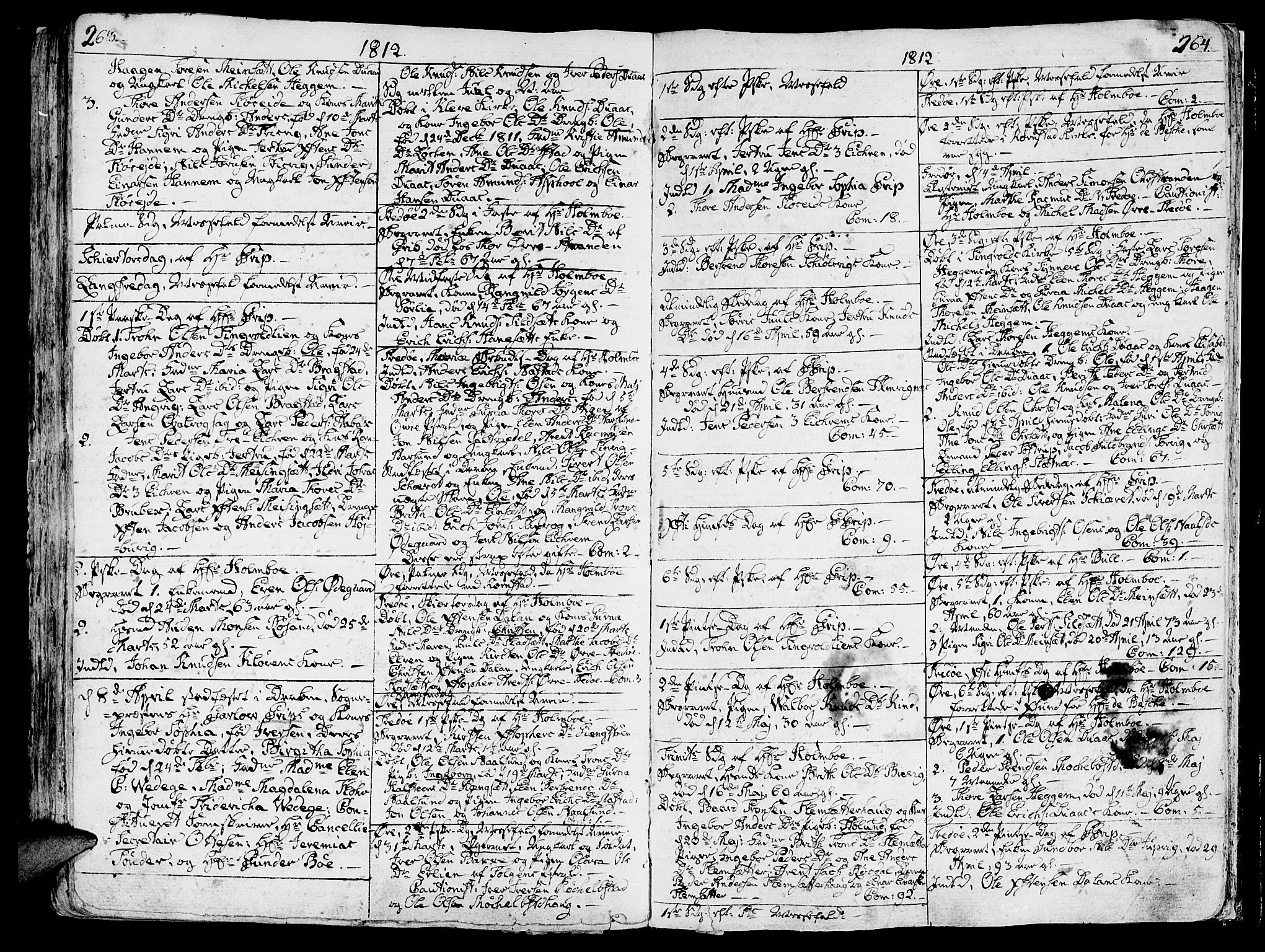 Ministerialprotokoller, klokkerbøker og fødselsregistre - Møre og Romsdal, AV/SAT-A-1454/586/L0981: Ministerialbok nr. 586A07, 1794-1819, s. 263-264