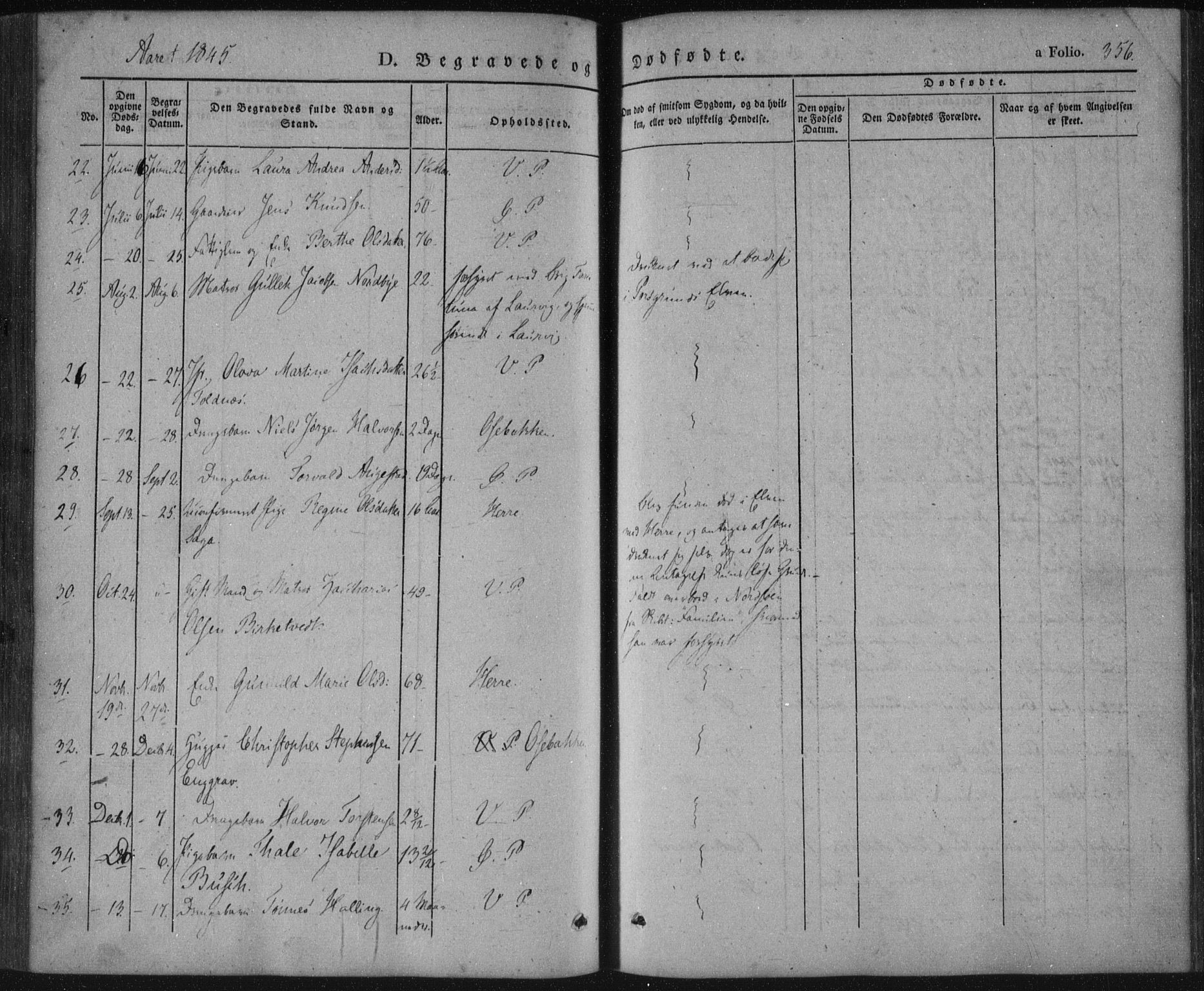 Porsgrunn kirkebøker , AV/SAKO-A-104/F/Fa/L0006: Ministerialbok nr. 6, 1841-1857, s. 356