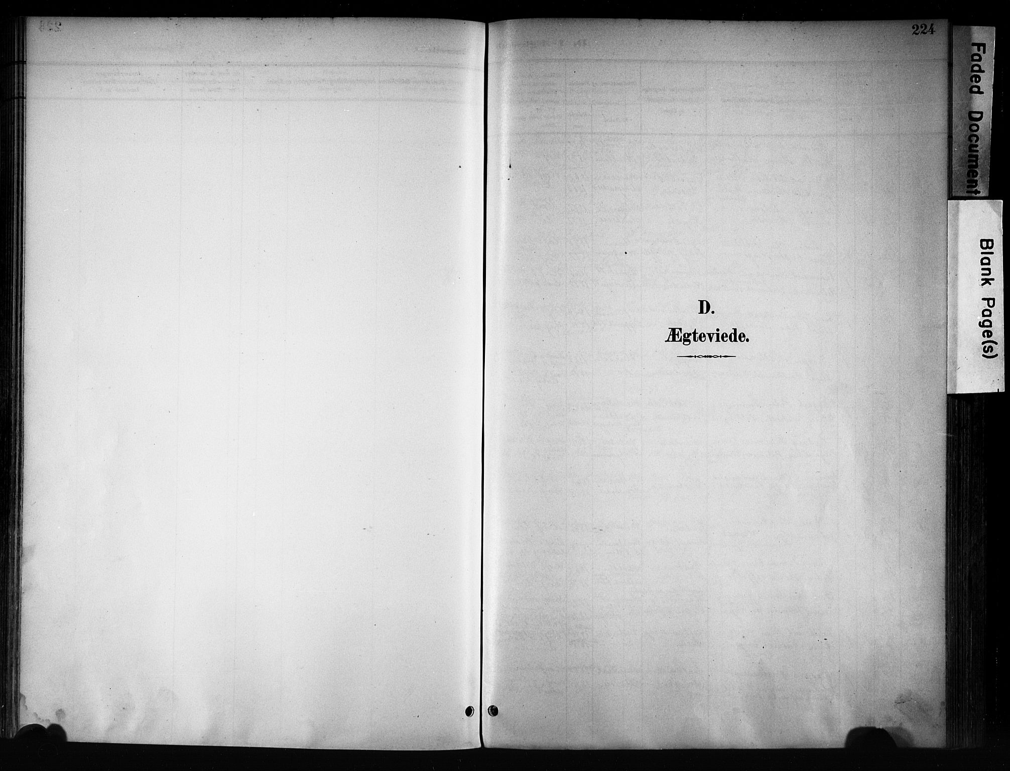 Østre Toten prestekontor, AV/SAH-PREST-104/H/Ha/Haa/L0008: Ministerialbok nr. 8, 1897-1909, s. 224
