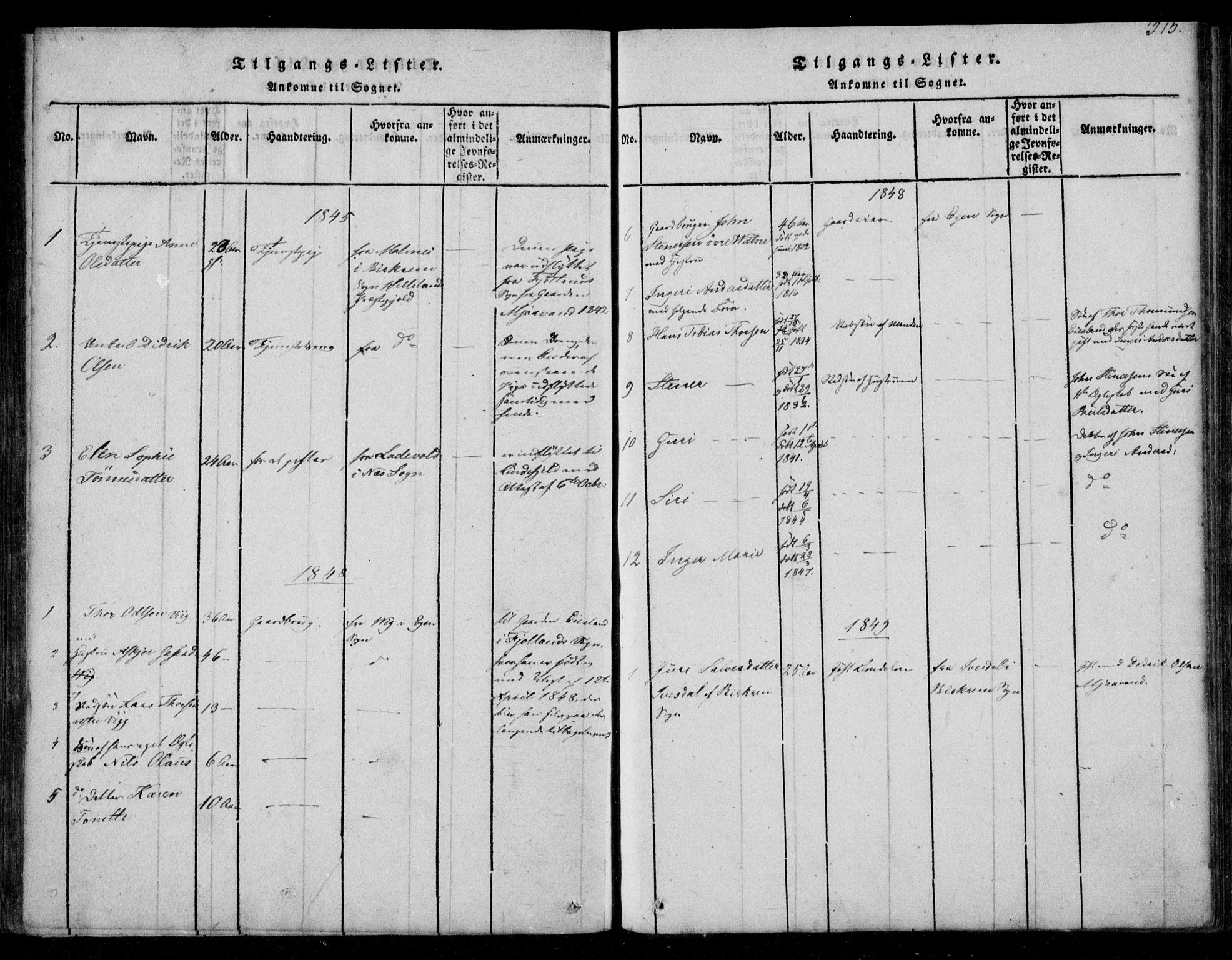 Fjotland sokneprestkontor, SAK/1111-0010/F/Fb/L0001: Klokkerbok nr. B 1, 1816-1849, s. 315
