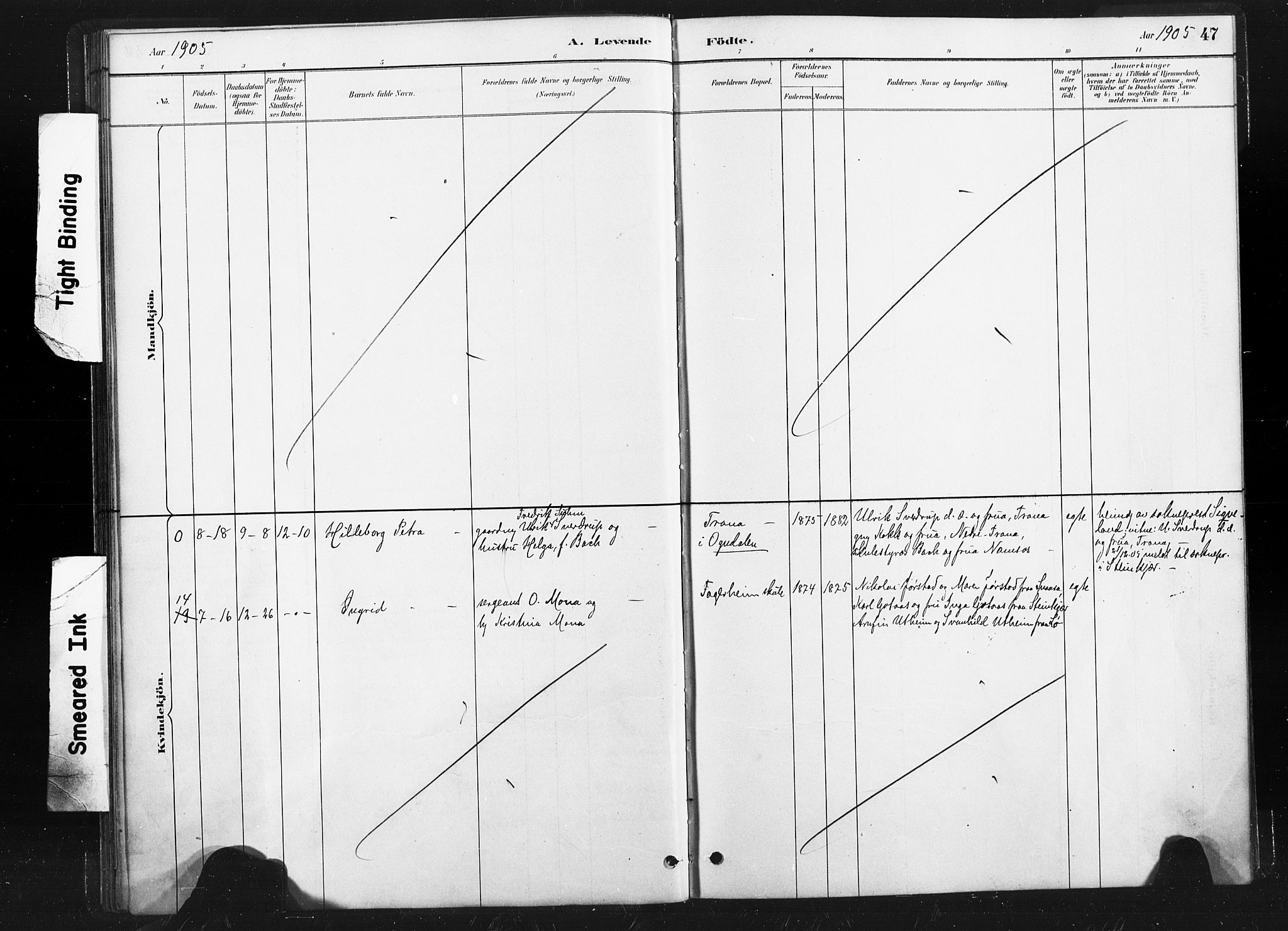 Ministerialprotokoller, klokkerbøker og fødselsregistre - Nord-Trøndelag, SAT/A-1458/736/L0361: Ministerialbok nr. 736A01, 1884-1906, s. 47