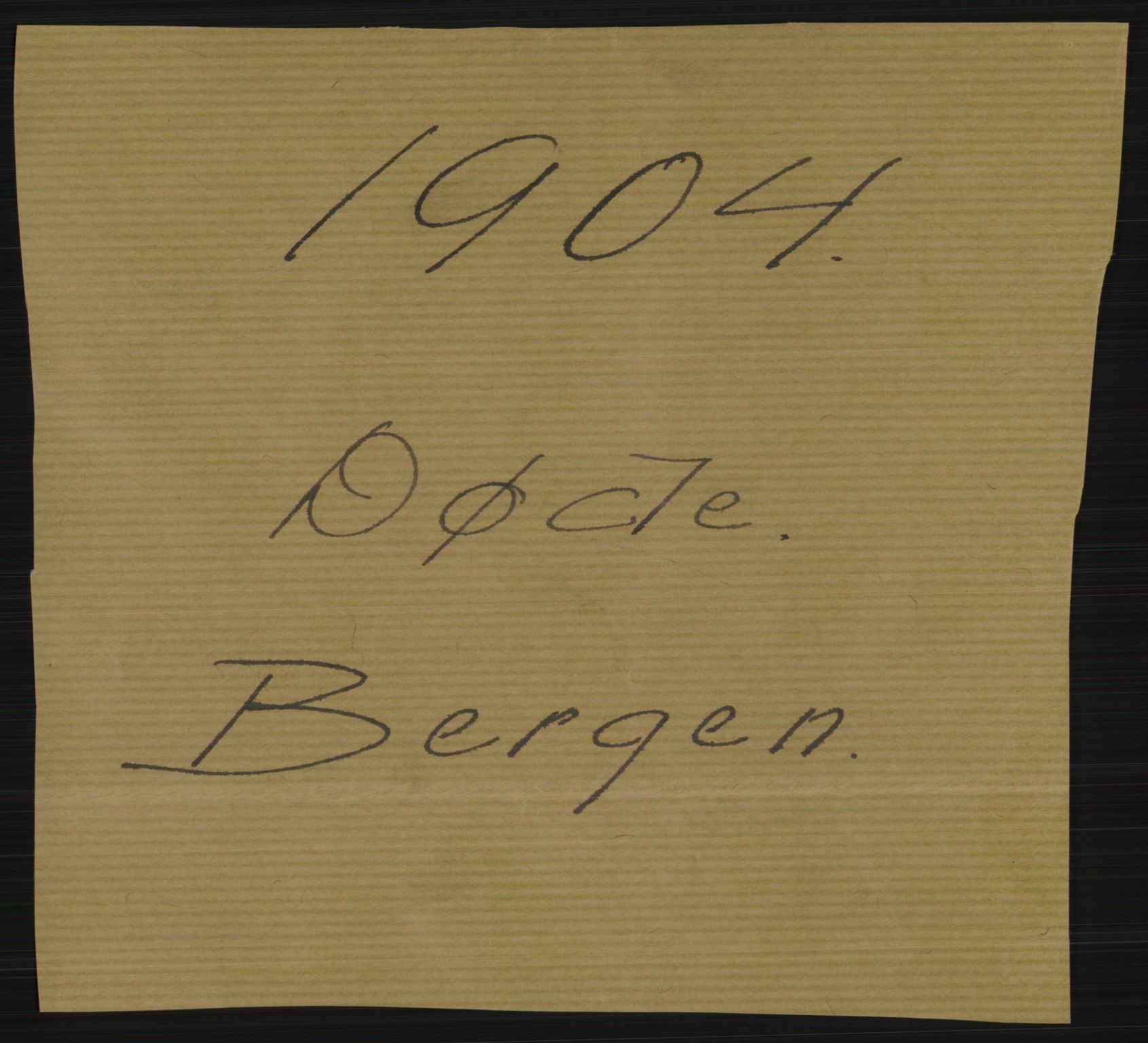 Statistisk sentralbyrå, Sosiodemografiske emner, Befolkning, AV/RA-S-2228/D/Df/Dfa/Dfab/L0014: Bergen: Fødte, gifte, døde, 1904, s. 355