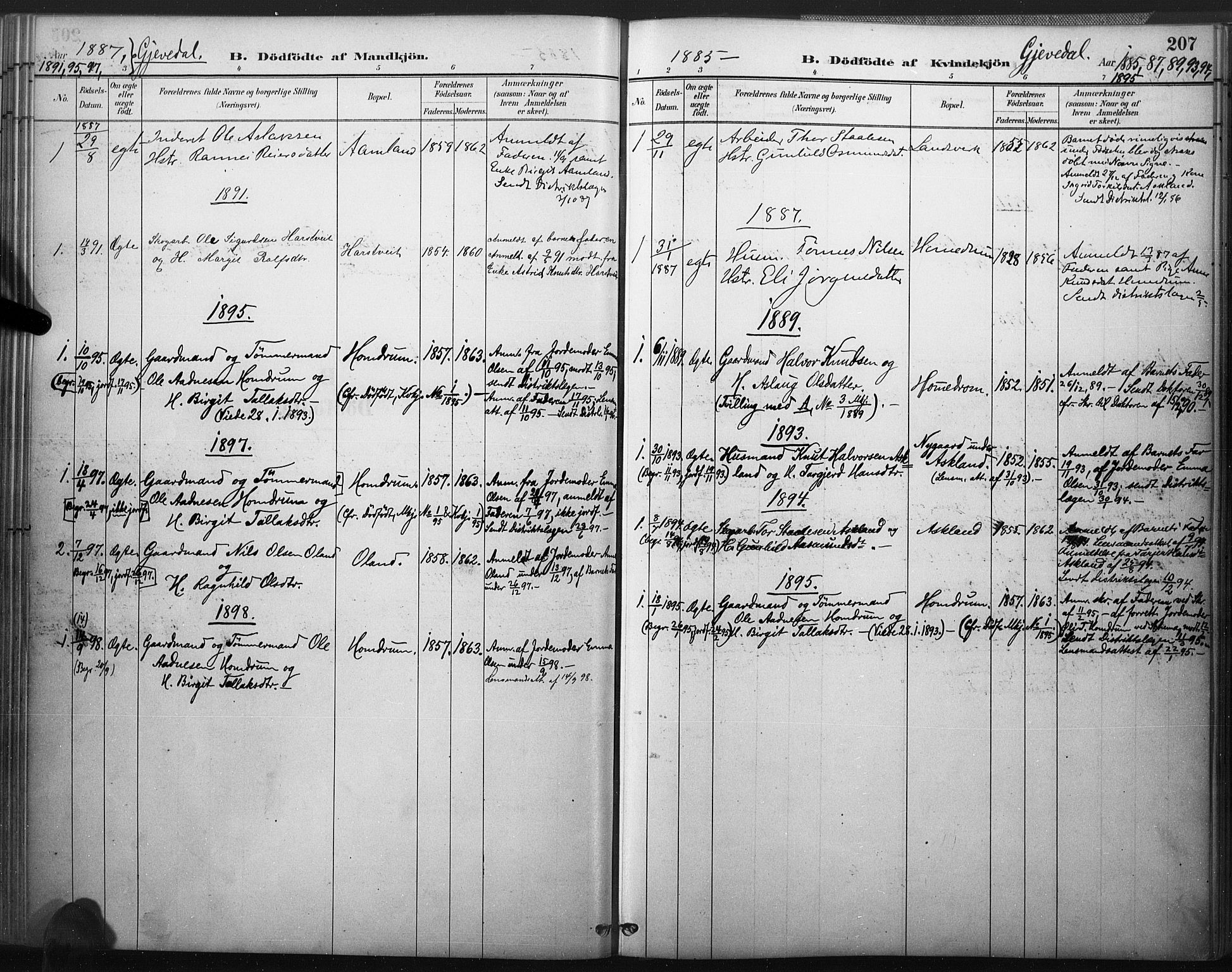 Åmli sokneprestkontor, AV/SAK-1111-0050/F/Fa/Fac/L0010: Ministerialbok nr. A 10 /2, 1885-1899, s. 207