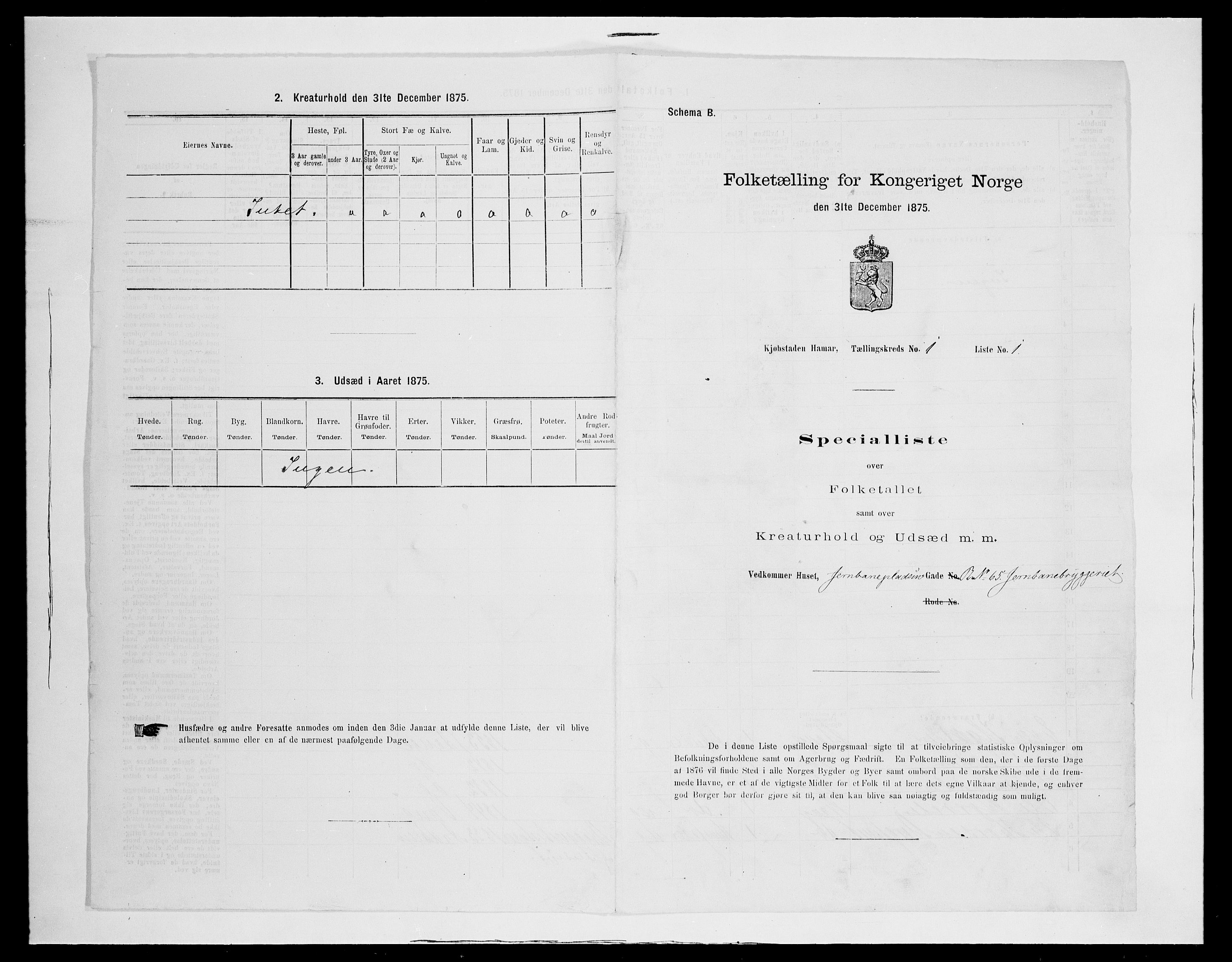 SAH, Folketelling 1875 for 0401B Vang prestegjeld, Hamar kjøpstad, 1875, s. 10