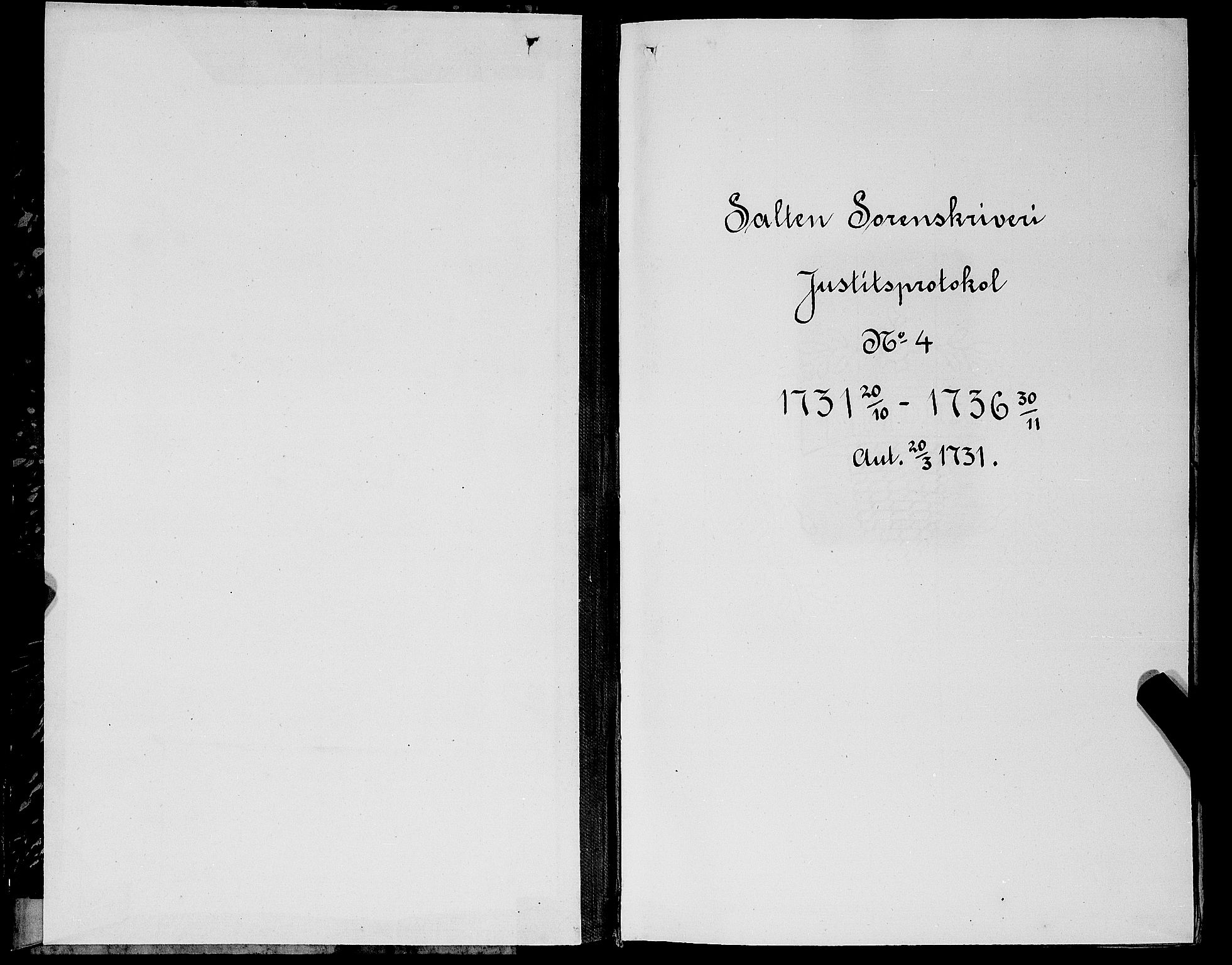 Salten sorenskriveri, AV/SAT-A-4578/1/1/1A/L0004: Tingbok, 1731-1736