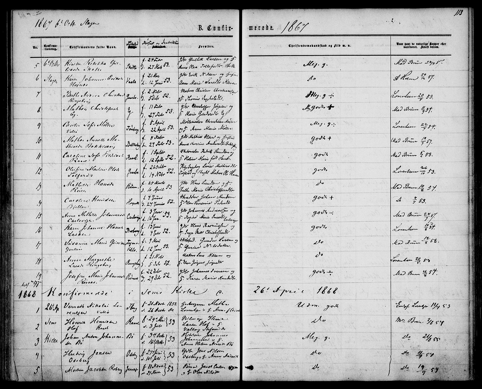 Sem kirkebøker, AV/SAKO-A-5/F/Fa/L0008: Ministerialbok nr. I 8, 1866-1873, s. 113