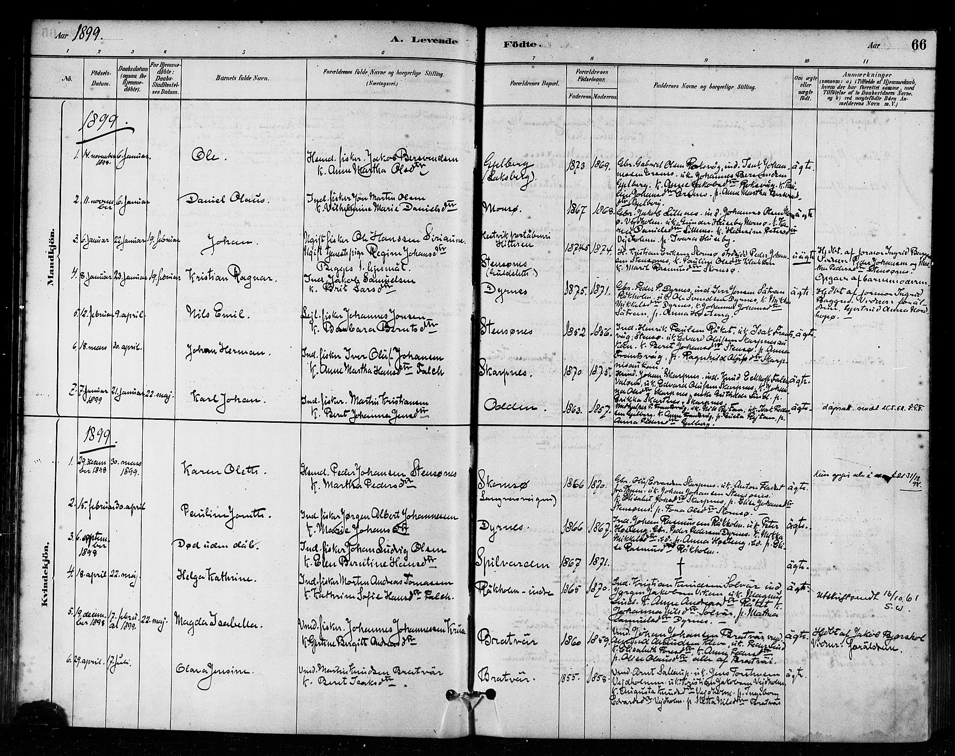 Ministerialprotokoller, klokkerbøker og fødselsregistre - Møre og Romsdal, AV/SAT-A-1454/582/L0947: Ministerialbok nr. 582A01, 1880-1900, s. 66