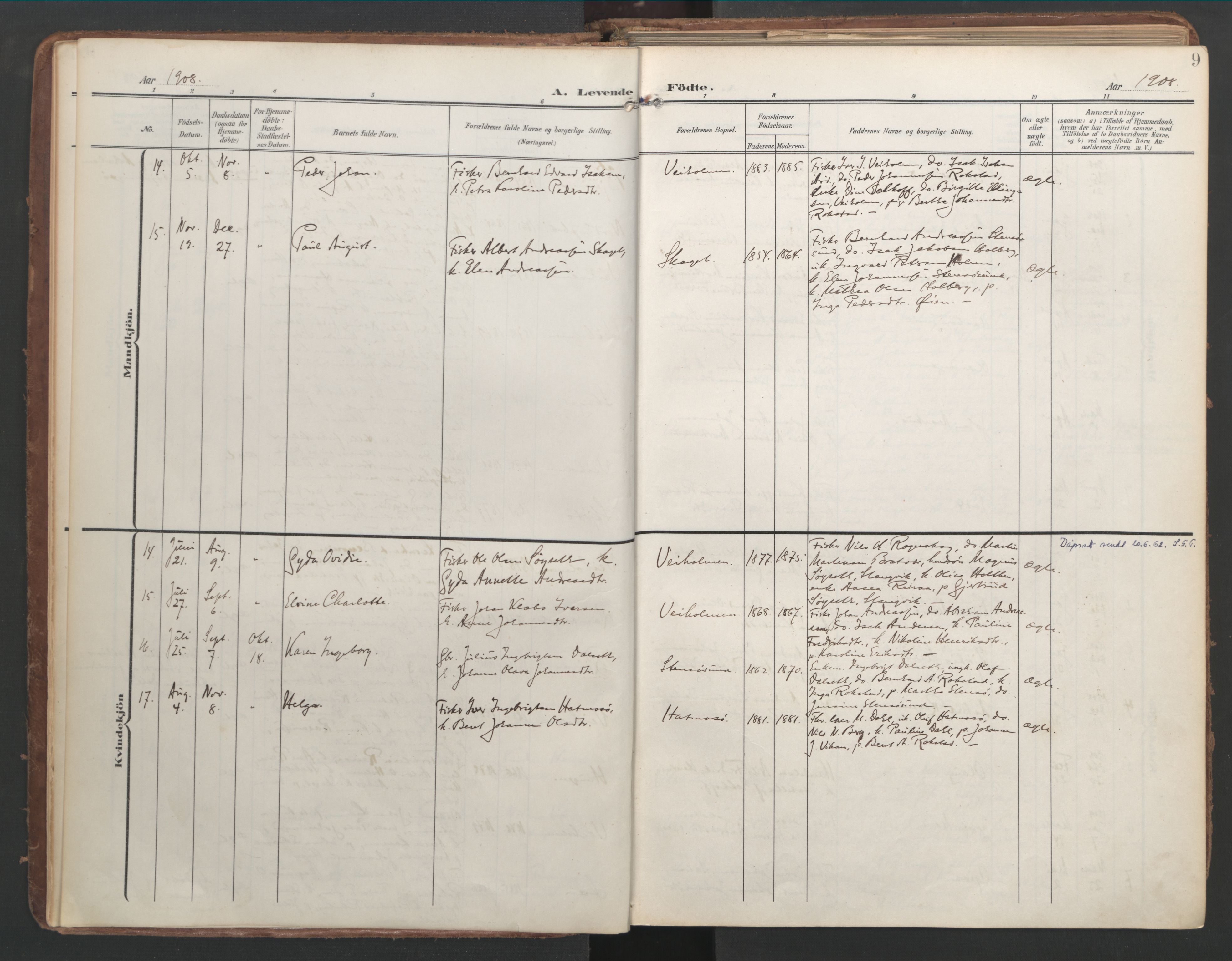 Ministerialprotokoller, klokkerbøker og fødselsregistre - Møre og Romsdal, AV/SAT-A-1454/583/L0955: Ministerialbok nr. 583A02, 1907-1926, s. 9