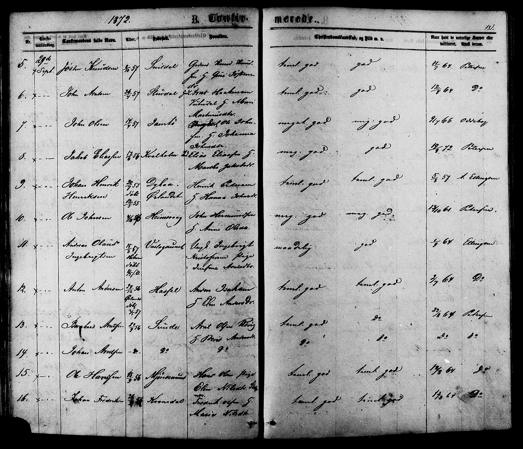 Ministerialprotokoller, klokkerbøker og fødselsregistre - Sør-Trøndelag, SAT/A-1456/630/L0495: Ministerialbok nr. 630A08, 1868-1878, s. 181