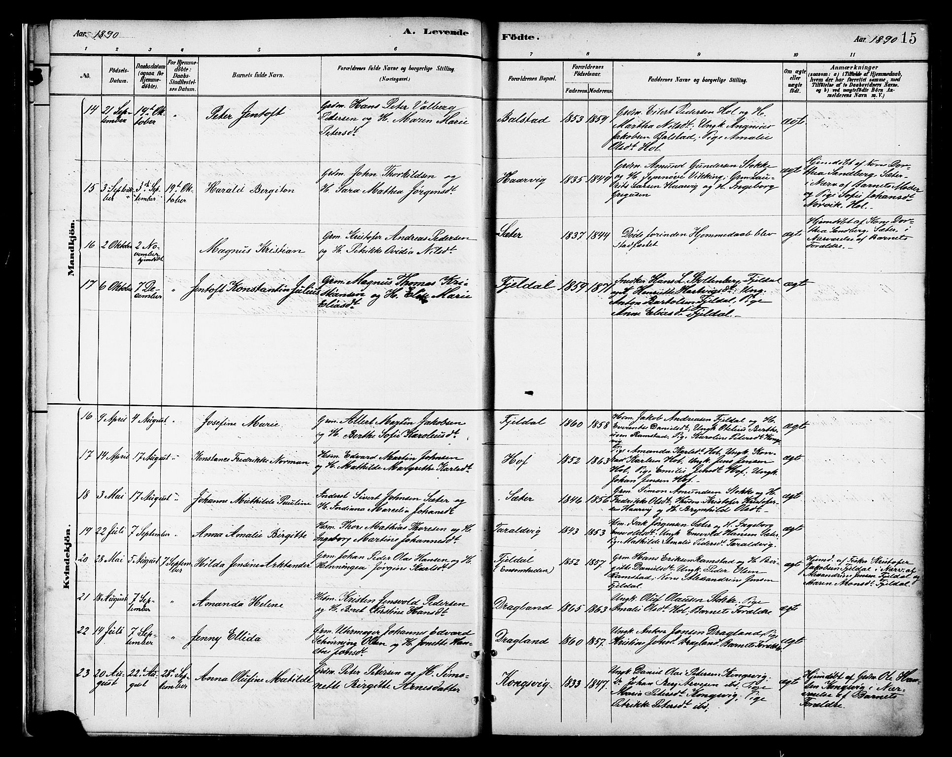 Ministerialprotokoller, klokkerbøker og fødselsregistre - Nordland, AV/SAT-A-1459/865/L0924: Ministerialbok nr. 865A02, 1885-1896, s. 15