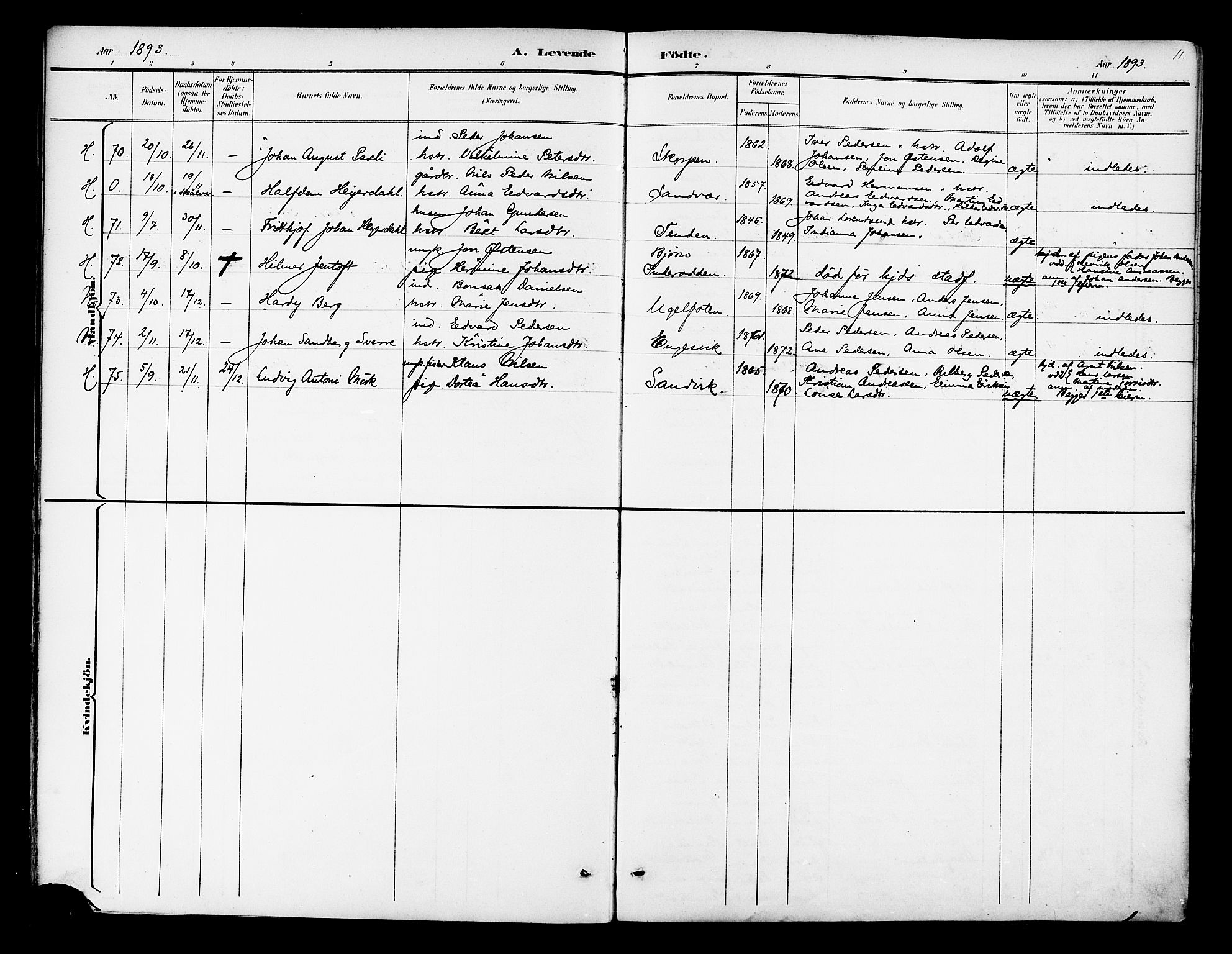 Ministerialprotokoller, klokkerbøker og fødselsregistre - Nordland, AV/SAT-A-1459/834/L0508: Ministerialbok nr. 834A06, 1892-1901, s. 11