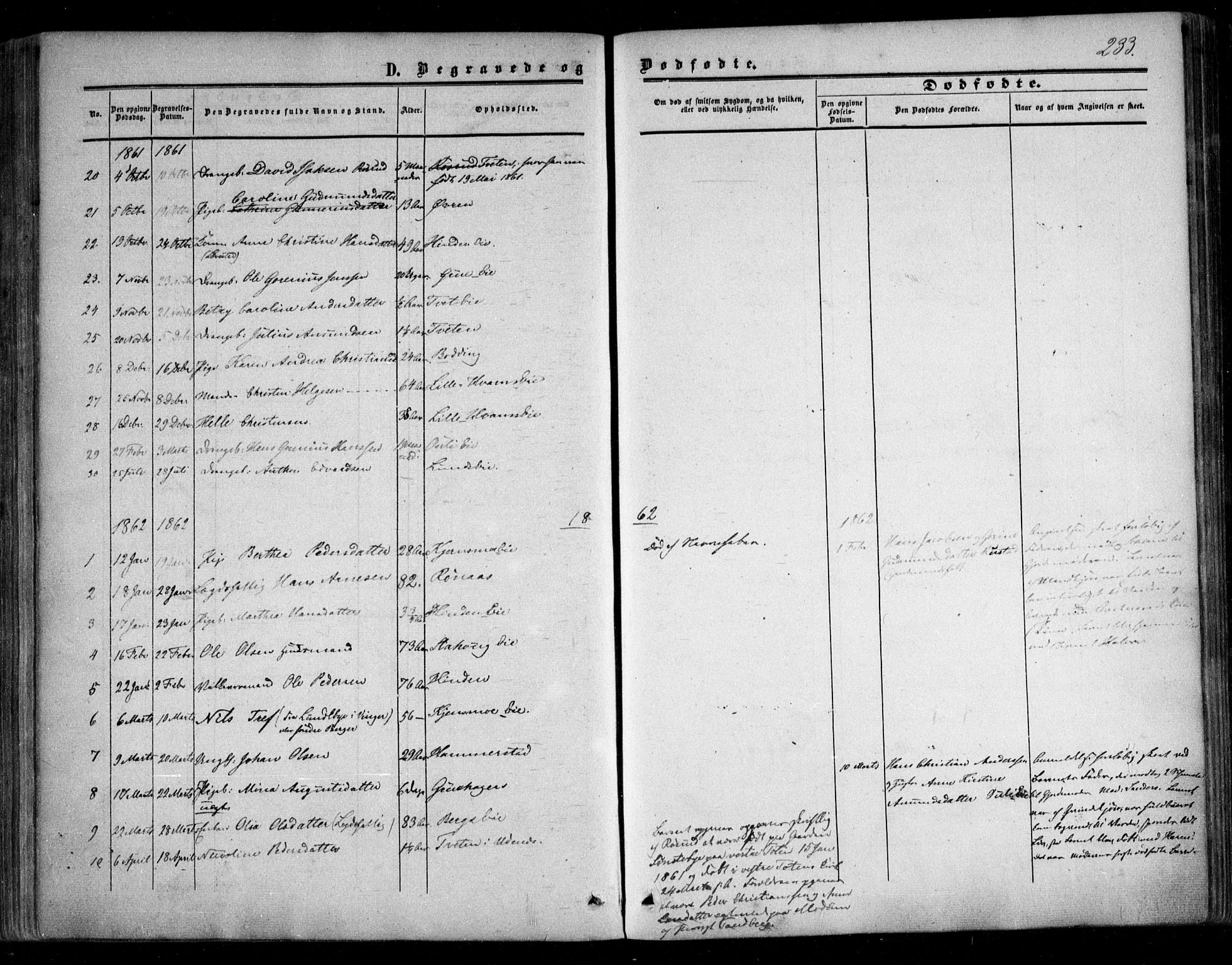 Nes prestekontor Kirkebøker, SAO/A-10410/F/Fc/L0001: Ministerialbok nr. III 1, 1859-1882, s. 233