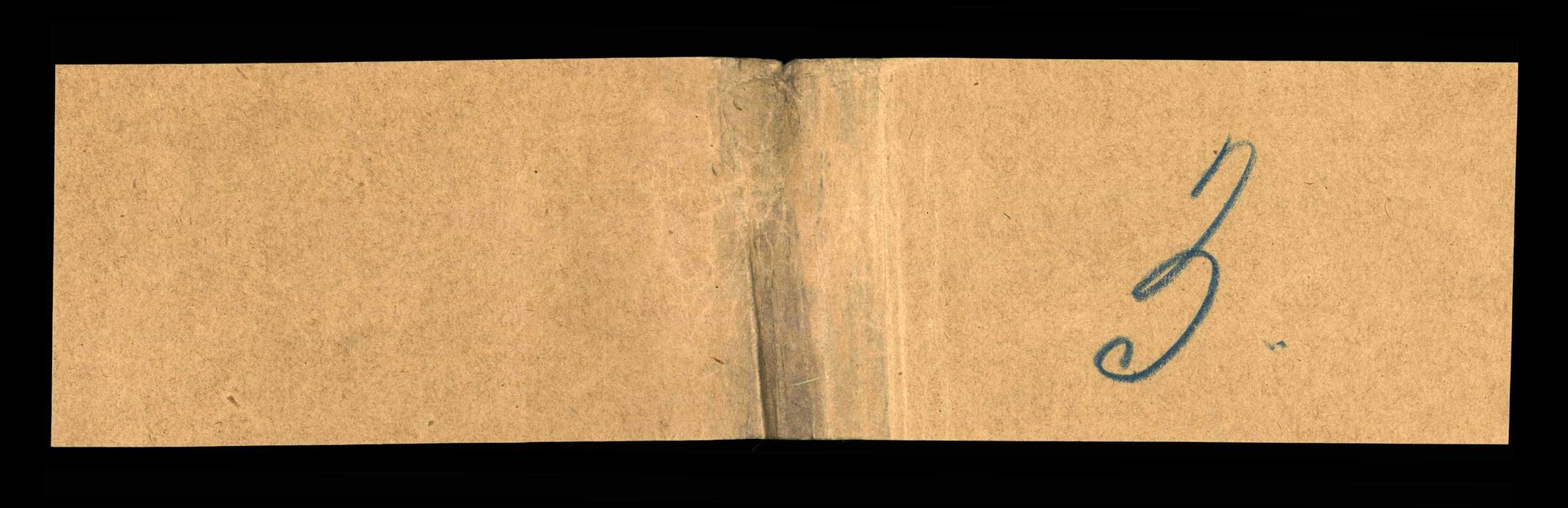 RA, Folketelling 1910 for 1628 Nes herred, 1910, s. 315