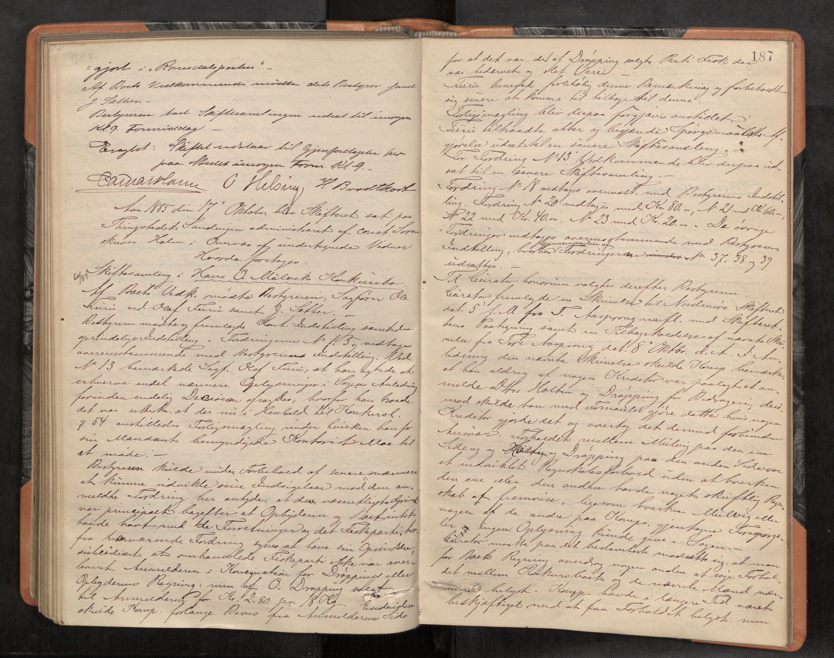 Nordmøre sorenskriveri, AV/SAT-A-4132/1/3/3B/L0004: Forhandlingsprotokoll nr. 04, 1881-1887, s. 187