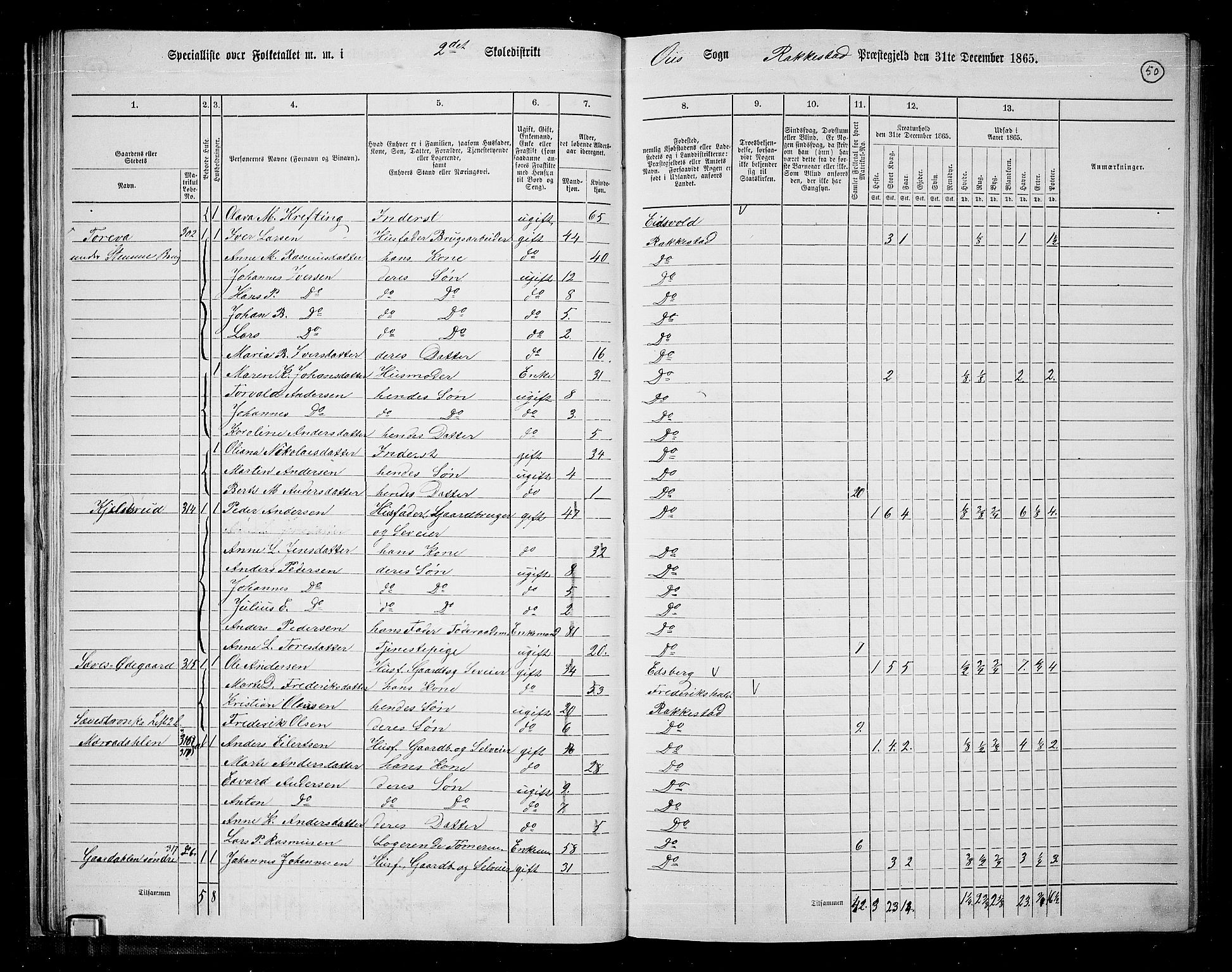 RA, Folketelling 1865 for 0128P Rakkestad prestegjeld, 1865, s. 49