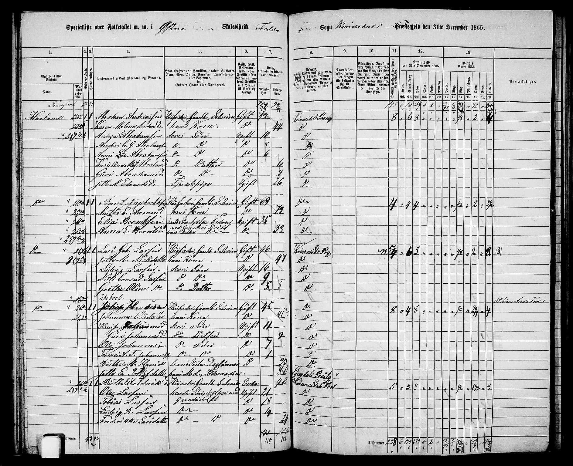 RA, Folketelling 1865 for 1037P Kvinesdal prestegjeld, 1865, s. 64