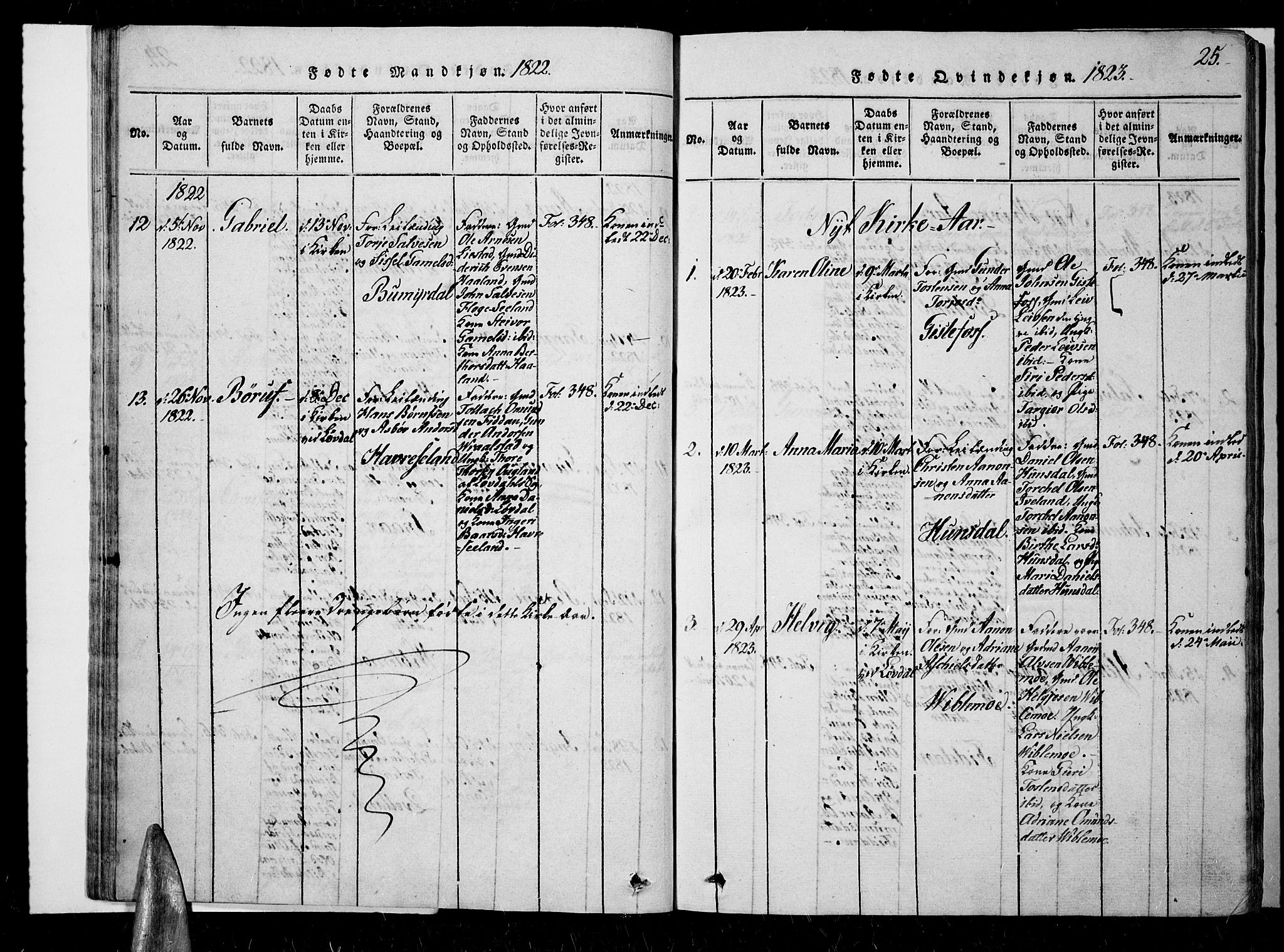 Nord-Audnedal sokneprestkontor, AV/SAK-1111-0032/F/Fa/Faa/L0001: Ministerialbok nr. A 1, 1815-1856, s. 25