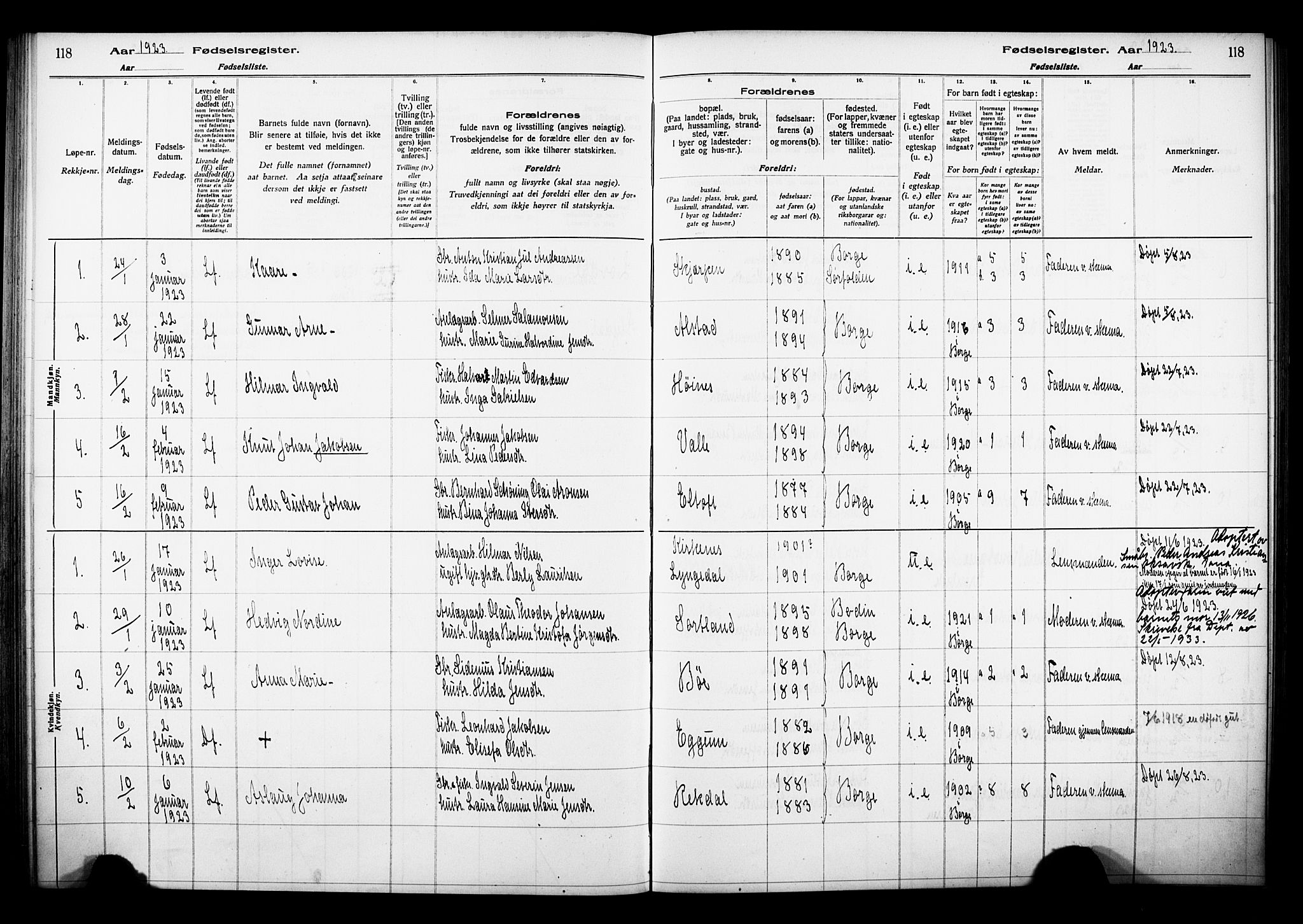 Ministerialprotokoller, klokkerbøker og fødselsregistre - Nordland, AV/SAT-A-1459/880/L1145: Fødselsregister nr. 880.II.4.1, 1916-1929, s. 118