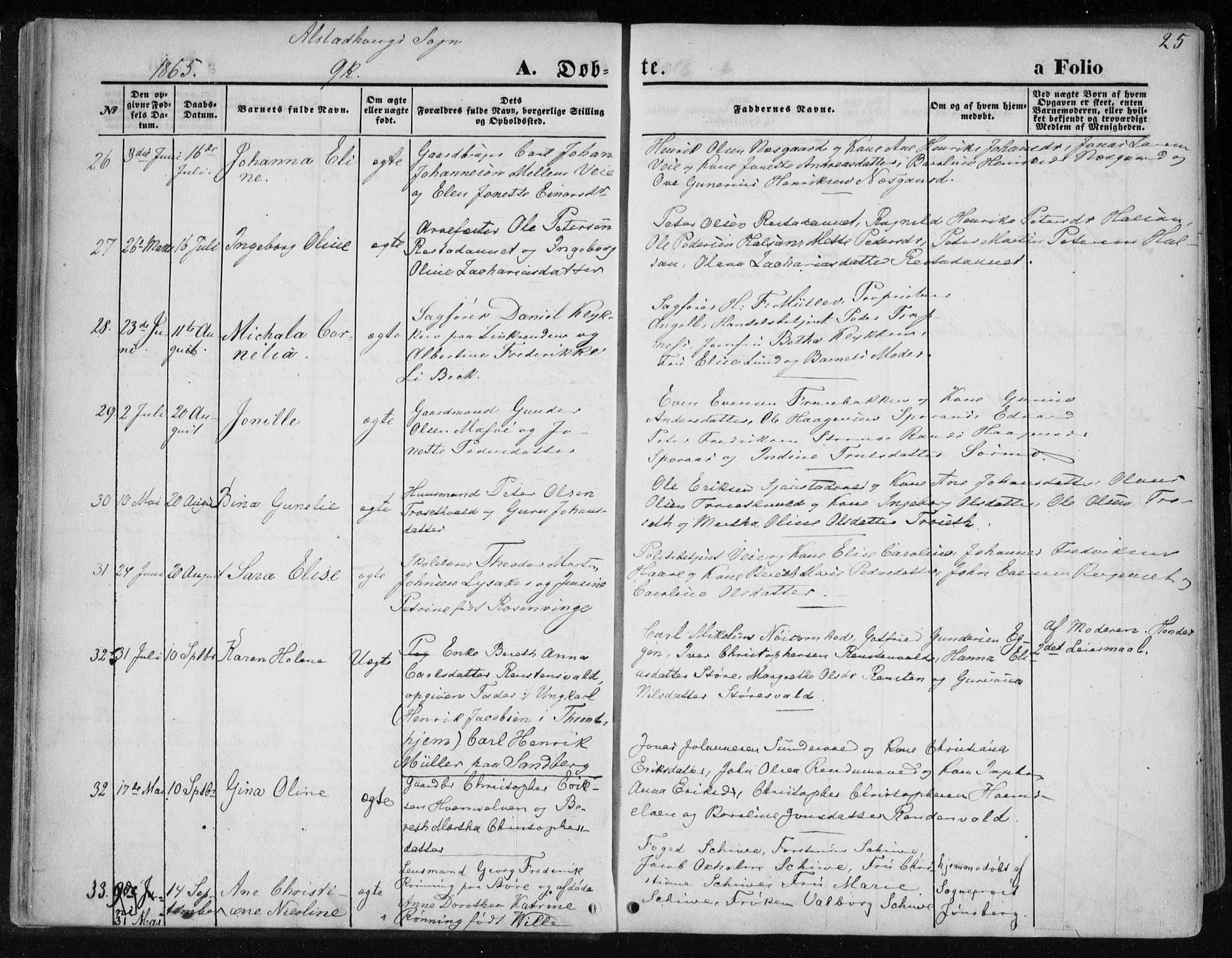 Ministerialprotokoller, klokkerbøker og fødselsregistre - Nord-Trøndelag, SAT/A-1458/717/L0157: Ministerialbok nr. 717A08 /1, 1863-1877, s. 25