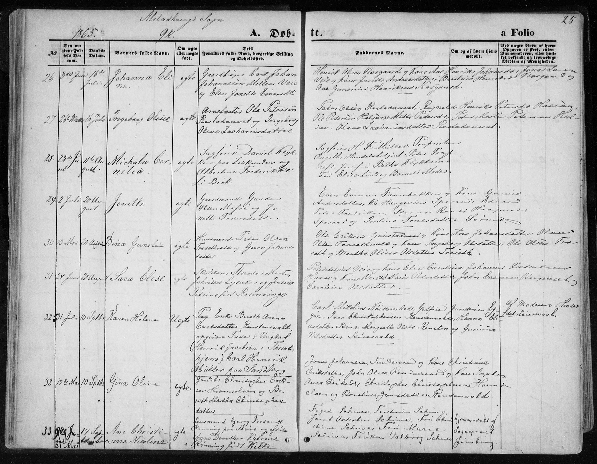 Ministerialprotokoller, klokkerbøker og fødselsregistre - Nord-Trøndelag, AV/SAT-A-1458/717/L0157: Ministerialbok nr. 717A08 /1, 1863-1877, s. 25