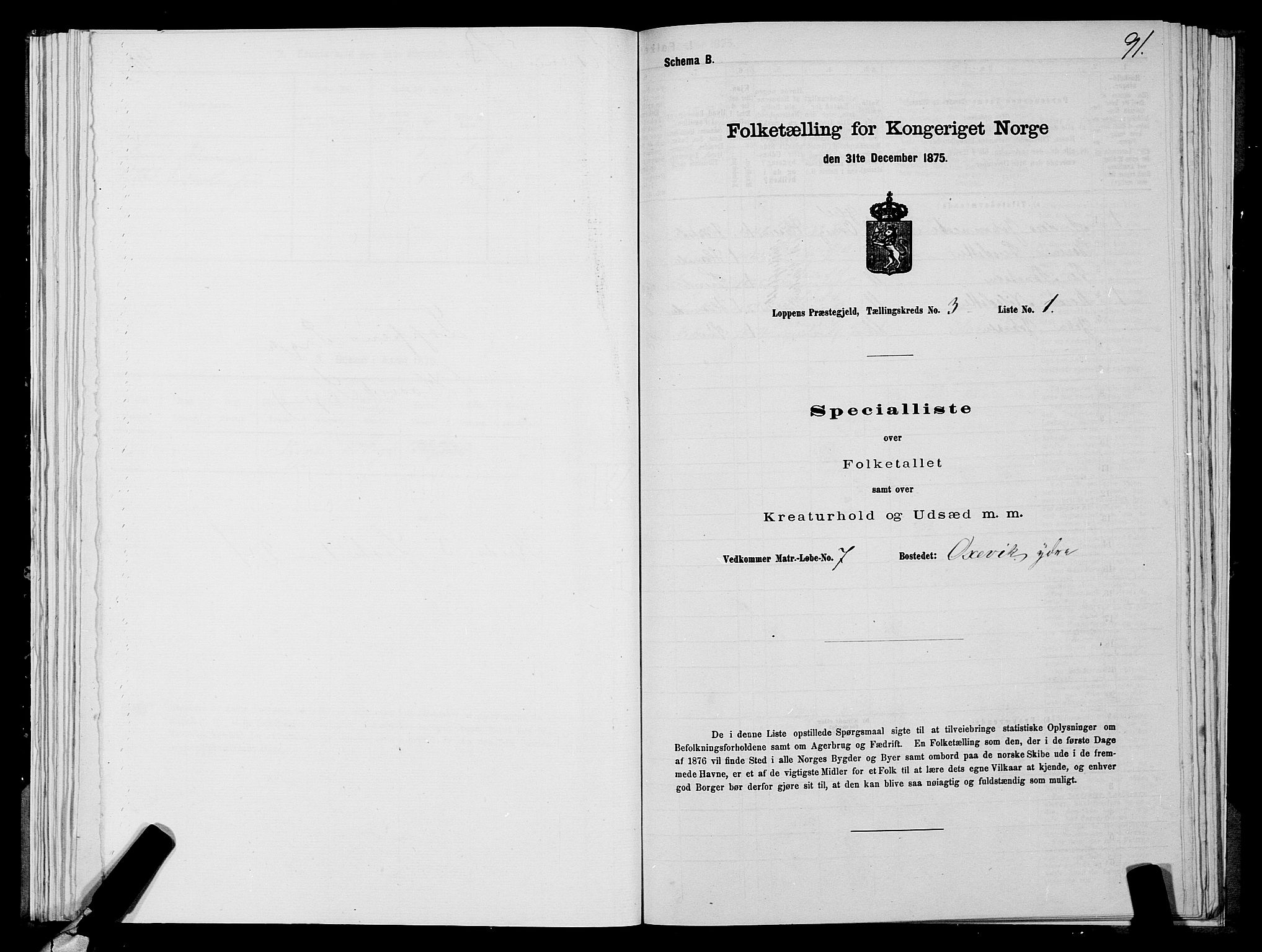 SATØ, Folketelling 1875 for 2014P Loppa prestegjeld, 1875, s. 1091
