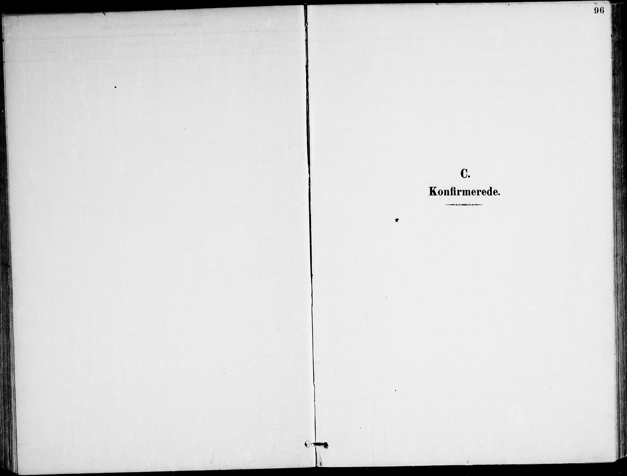 Ministerialprotokoller, klokkerbøker og fødselsregistre - Nordland, AV/SAT-A-1459/895/L1372: Ministerialbok nr. 895A07, 1894-1914, s. 96