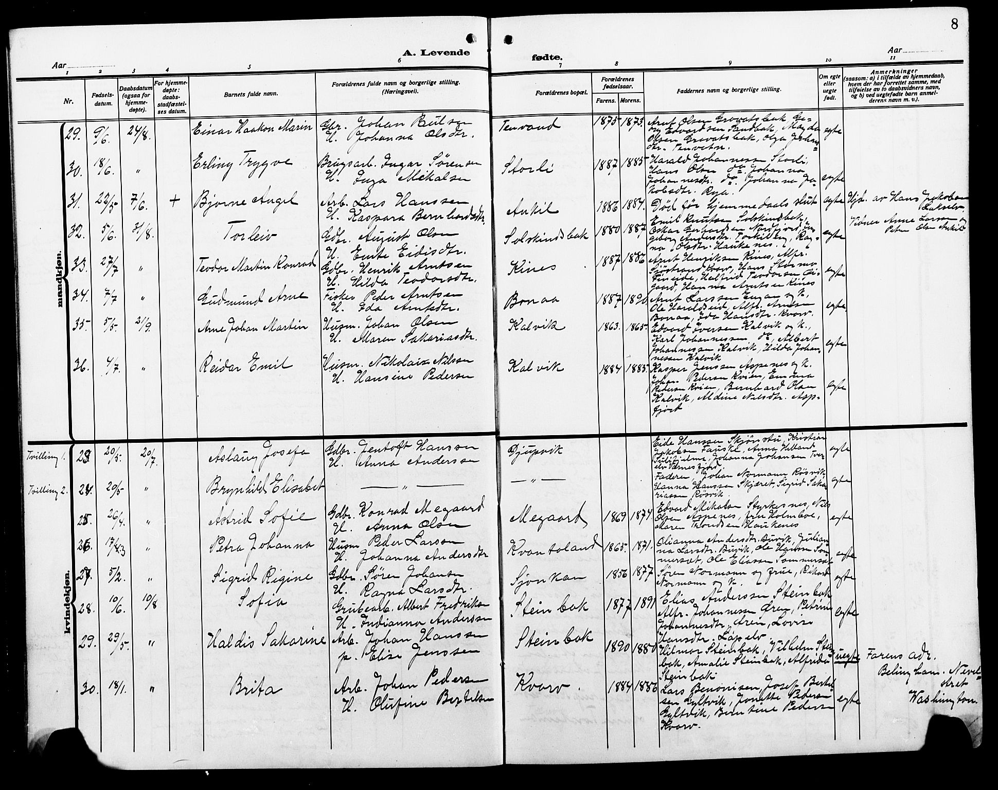 Ministerialprotokoller, klokkerbøker og fødselsregistre - Nordland, AV/SAT-A-1459/854/L0787: Klokkerbok nr. 854C03, 1913-1926, s. 8