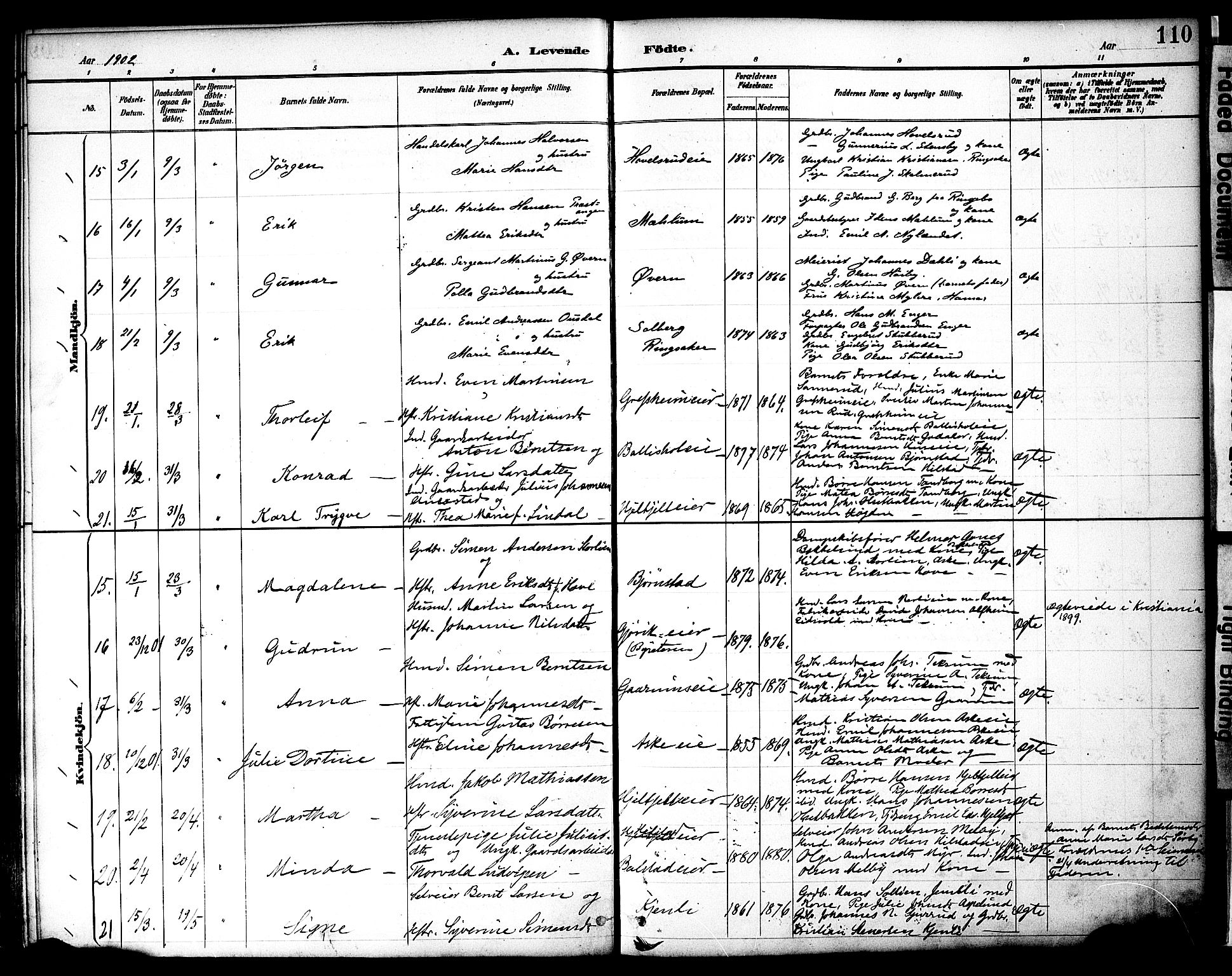 Nes prestekontor, Hedmark, AV/SAH-PREST-020/K/Ka/L0009: Ministerialbok nr. 9, 1887-1905, s. 110