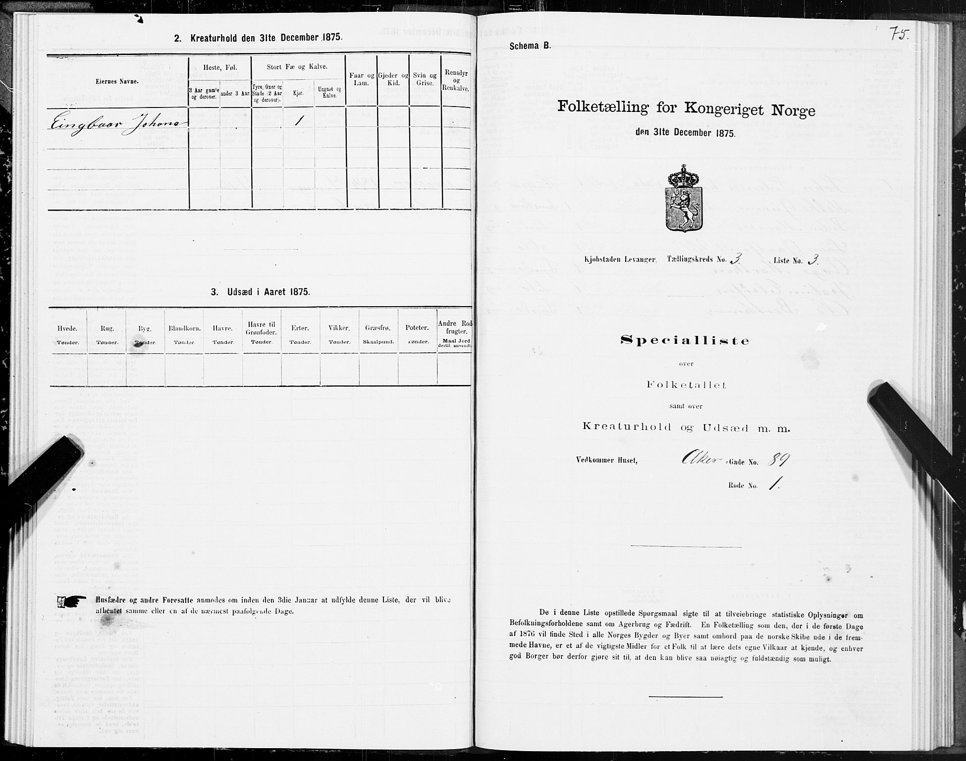 SAT, Folketelling 1875 for 1701B Levanger prestegjeld, Levanger kjøpstad, 1875, s. 75