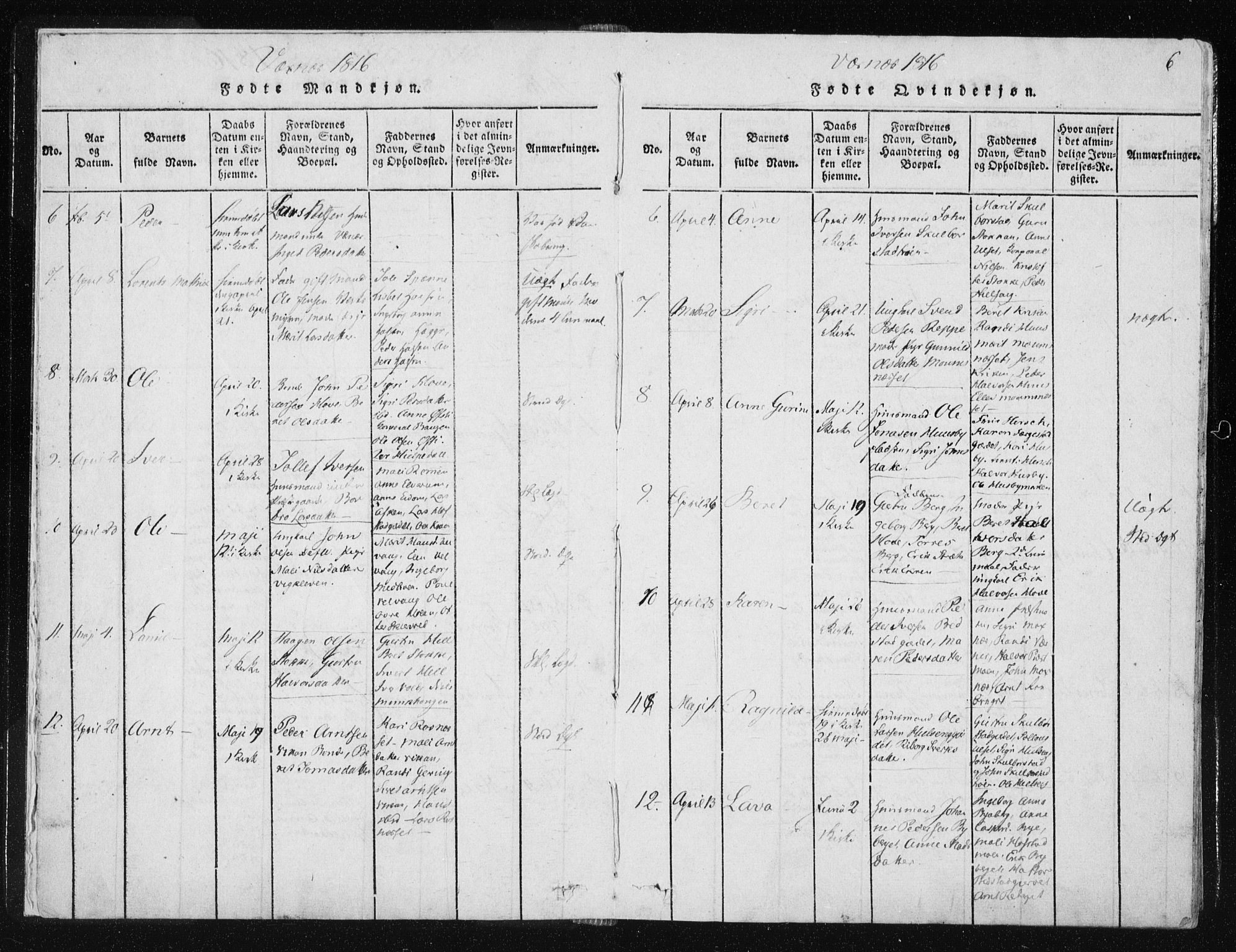 Ministerialprotokoller, klokkerbøker og fødselsregistre - Nord-Trøndelag, AV/SAT-A-1458/709/L0061: Ministerialbok nr. 709A08 /1, 1815-1819, s. 6
