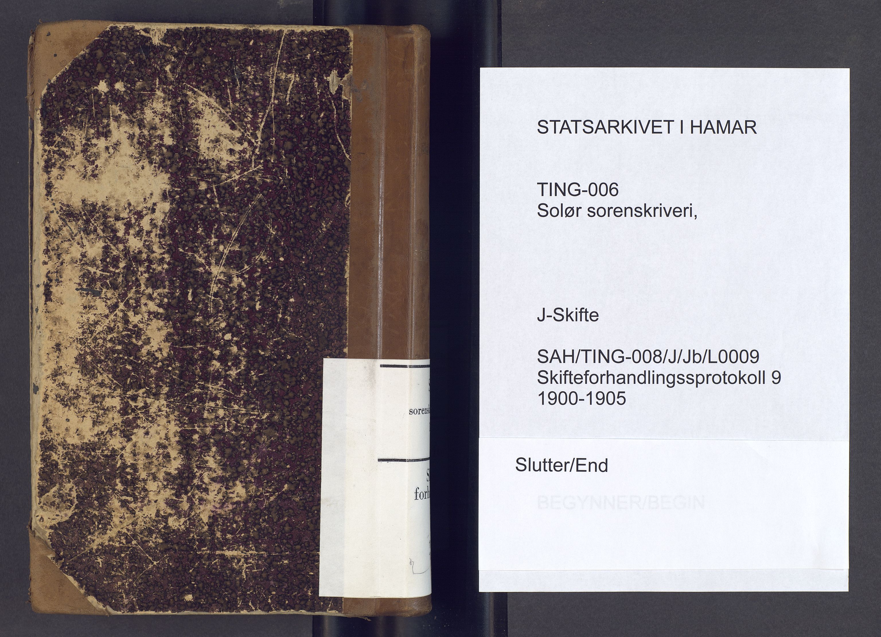 Solør tingrett, SAH/TING-008/J/Jb/L0009: Skifteforhandlingsprotokoll, 1900-1905