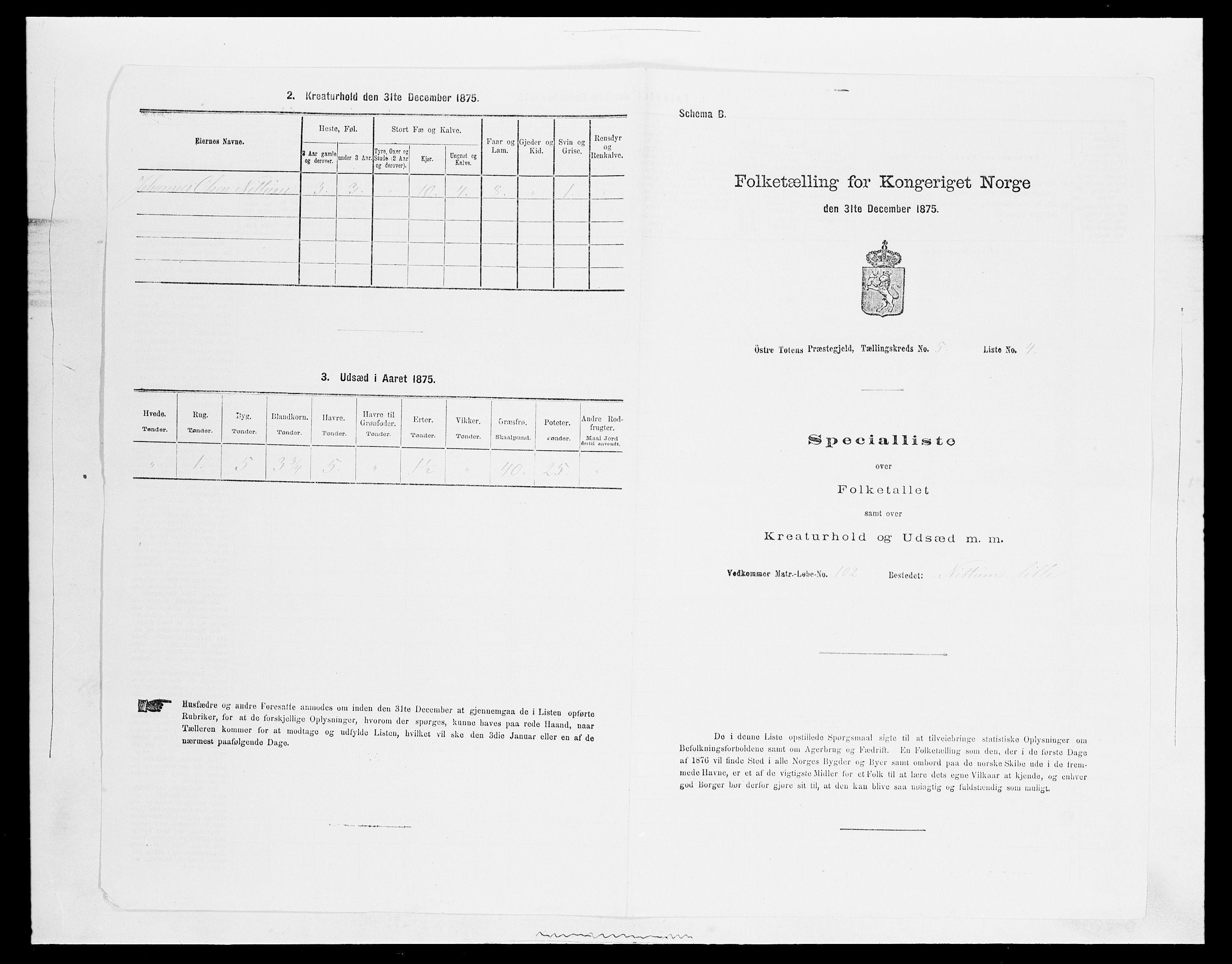 SAH, Folketelling 1875 for 0528P Østre Toten prestegjeld, 1875, s. 989