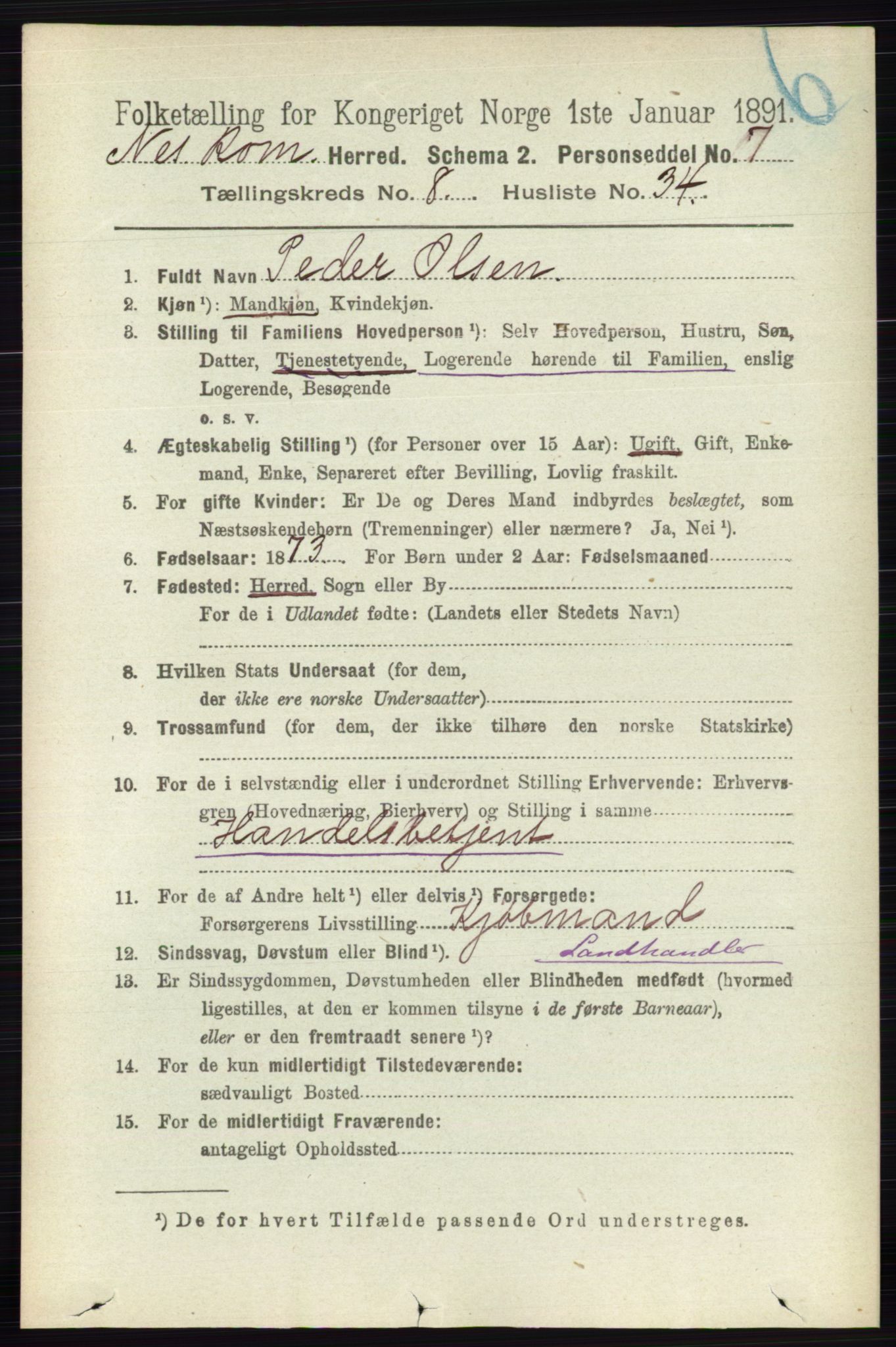 RA, Folketelling 1891 for 0236 Nes herred, 1891, s. 4819