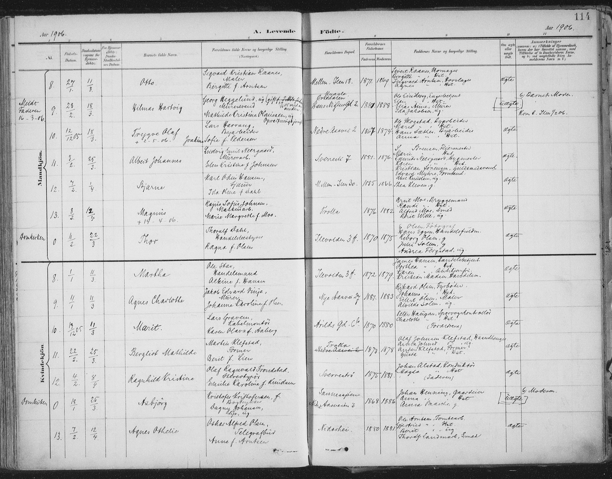 Ministerialprotokoller, klokkerbøker og fødselsregistre - Sør-Trøndelag, SAT/A-1456/603/L0167: Ministerialbok nr. 603A06, 1896-1932, s. 114