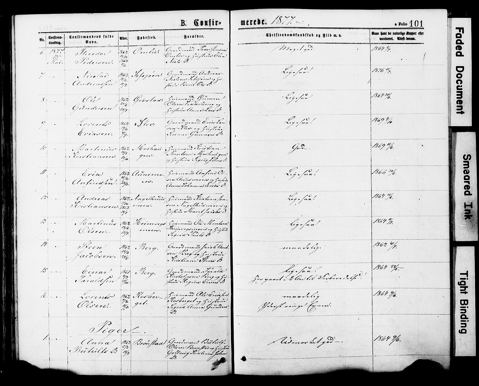 Ministerialprotokoller, klokkerbøker og fødselsregistre - Nord-Trøndelag, SAT/A-1458/749/L0473: Ministerialbok nr. 749A07, 1873-1887, s. 101