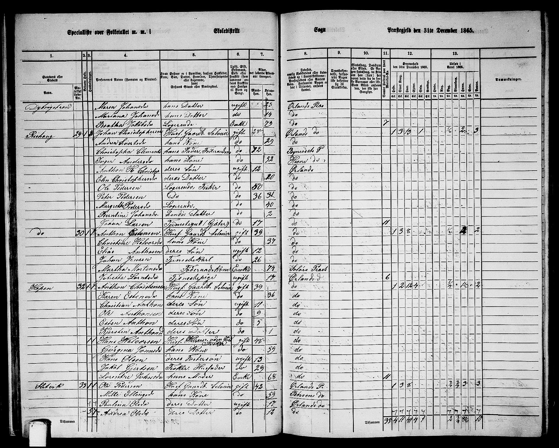 RA, Folketelling 1865 for 1621P Ørland prestegjeld, 1865, s. 27