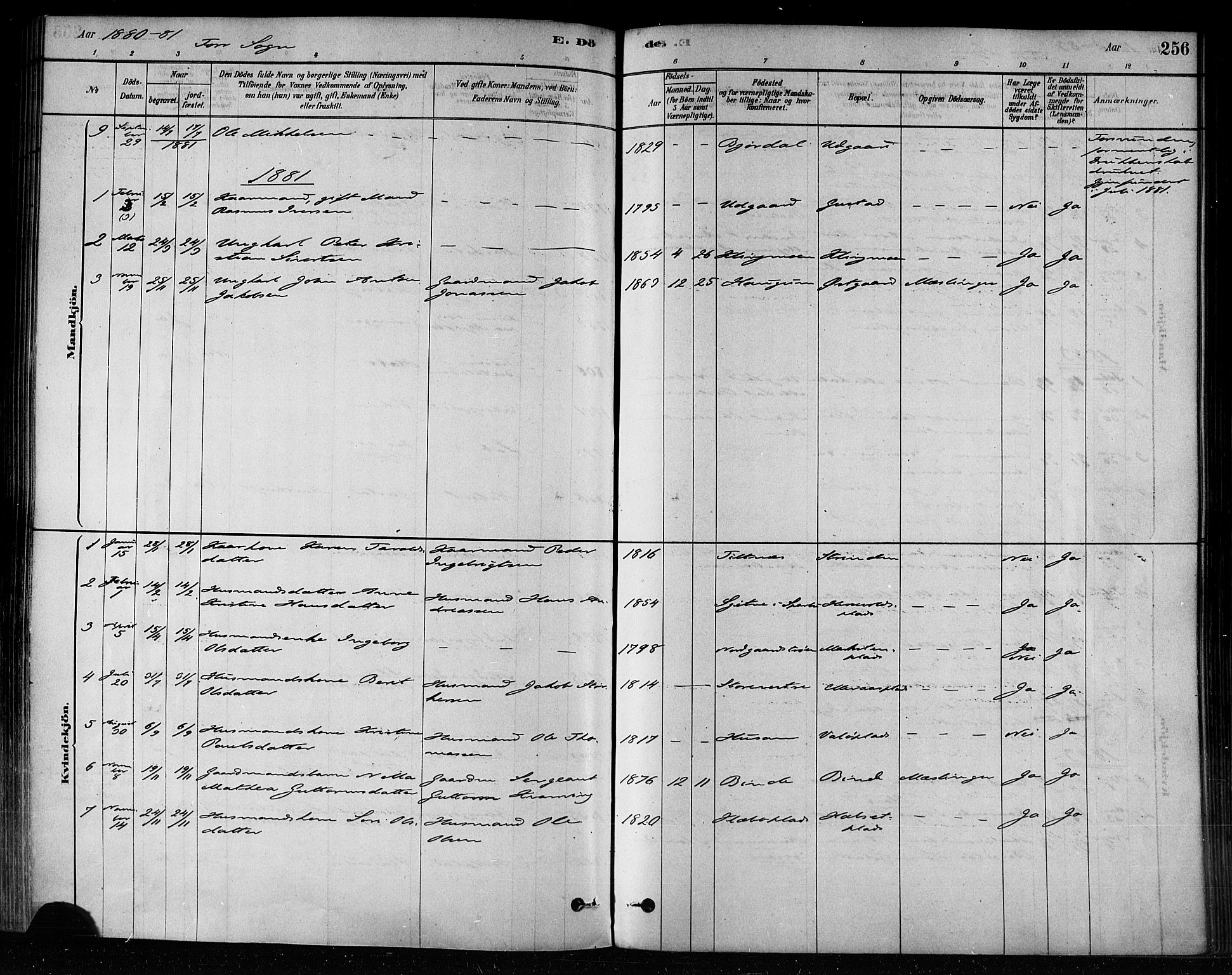 Ministerialprotokoller, klokkerbøker og fødselsregistre - Nord-Trøndelag, SAT/A-1458/746/L0448: Ministerialbok nr. 746A07 /1, 1878-1900, s. 256